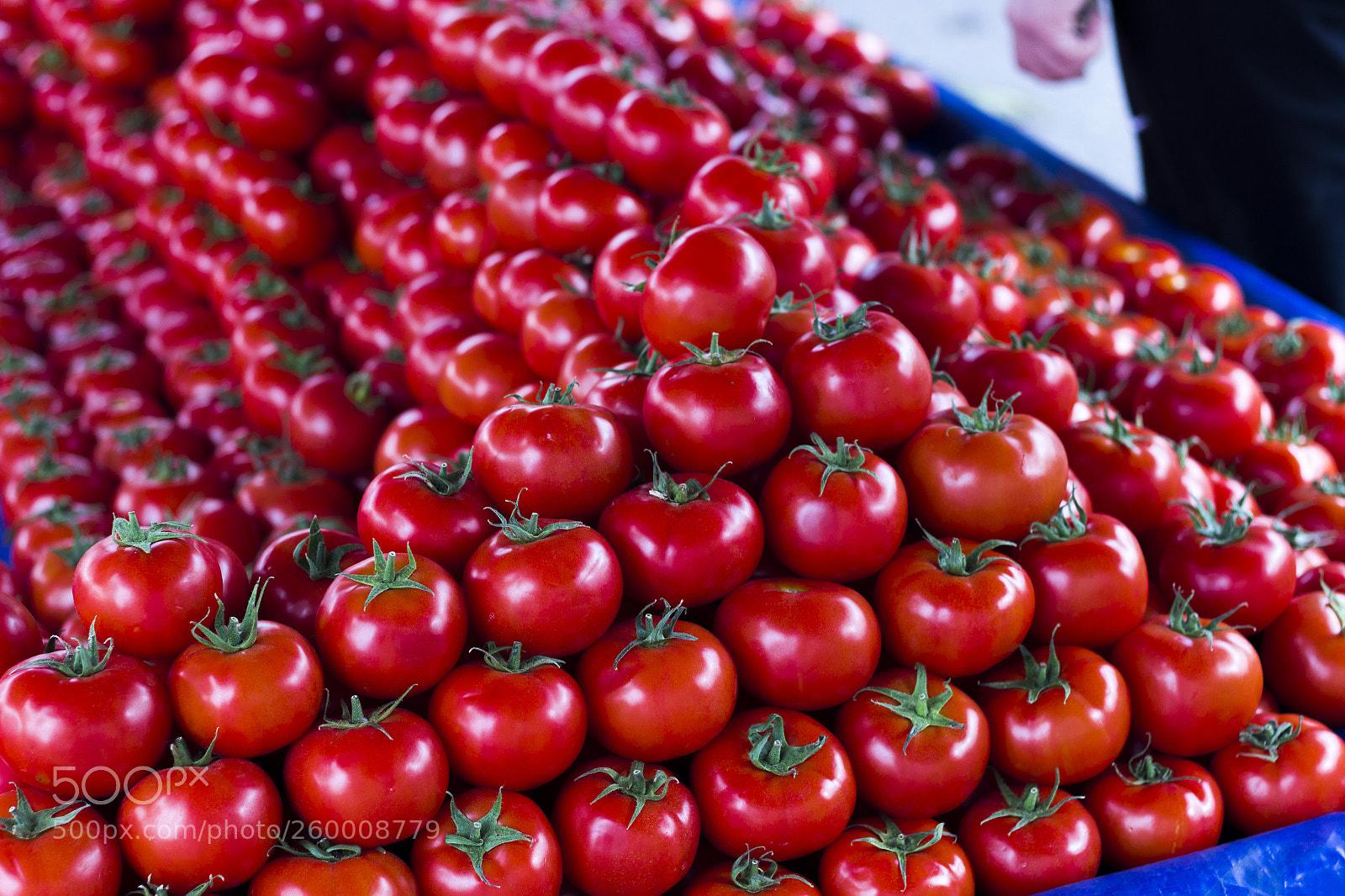 Canon EOS 600D (Rebel EOS T3i / EOS Kiss X5) sample photo. Fresh tomatos at traditional photography