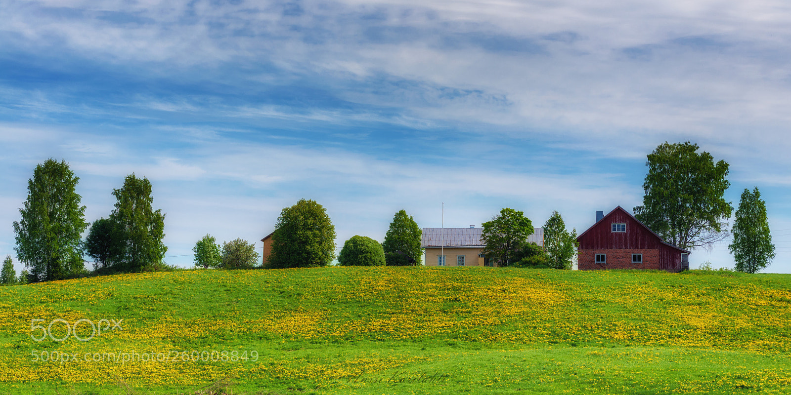 Nikon D600 sample photo. Farm on the hill photography