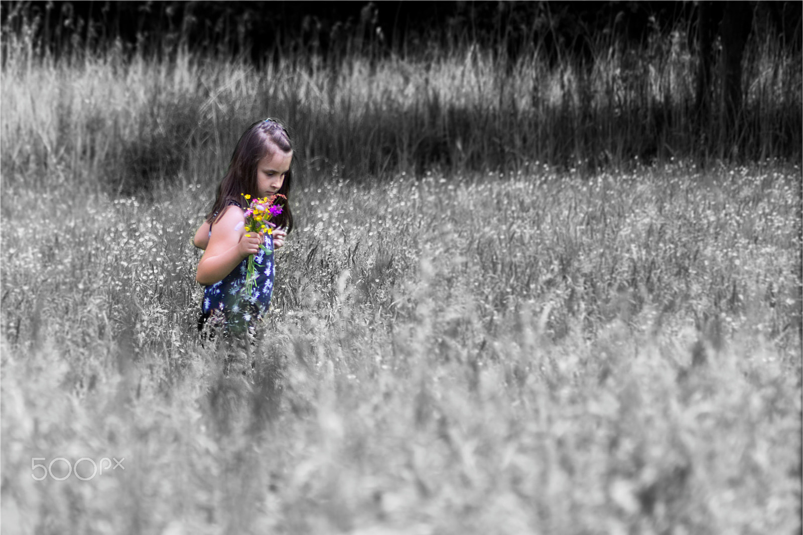 Sony Alpha DSLR-A450 sample photo. Little girl on the meadow photography