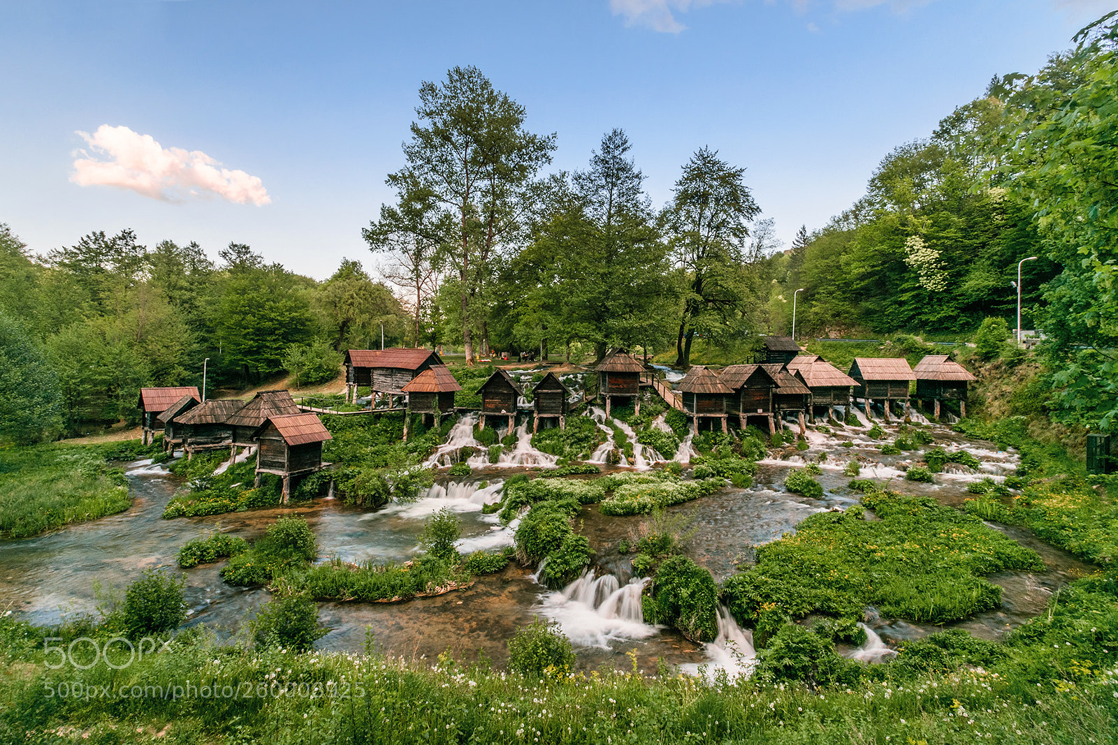 Nikon D5300 sample photo. !jajce" photography