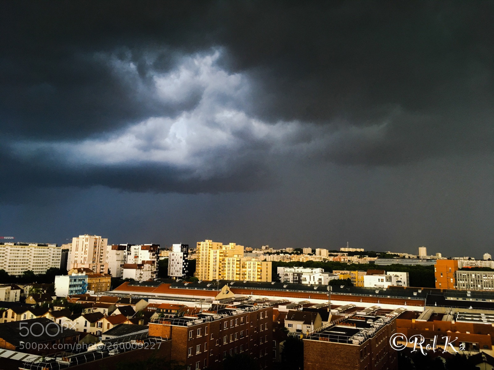 Apple iPhone SE sample photo. Orage photography