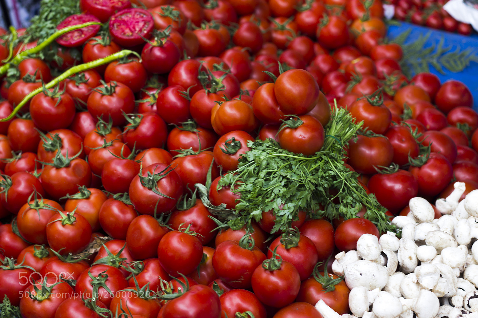 Canon EOS 600D (Rebel EOS T3i / EOS Kiss X5) sample photo. Fresh tomatos at traditional photography