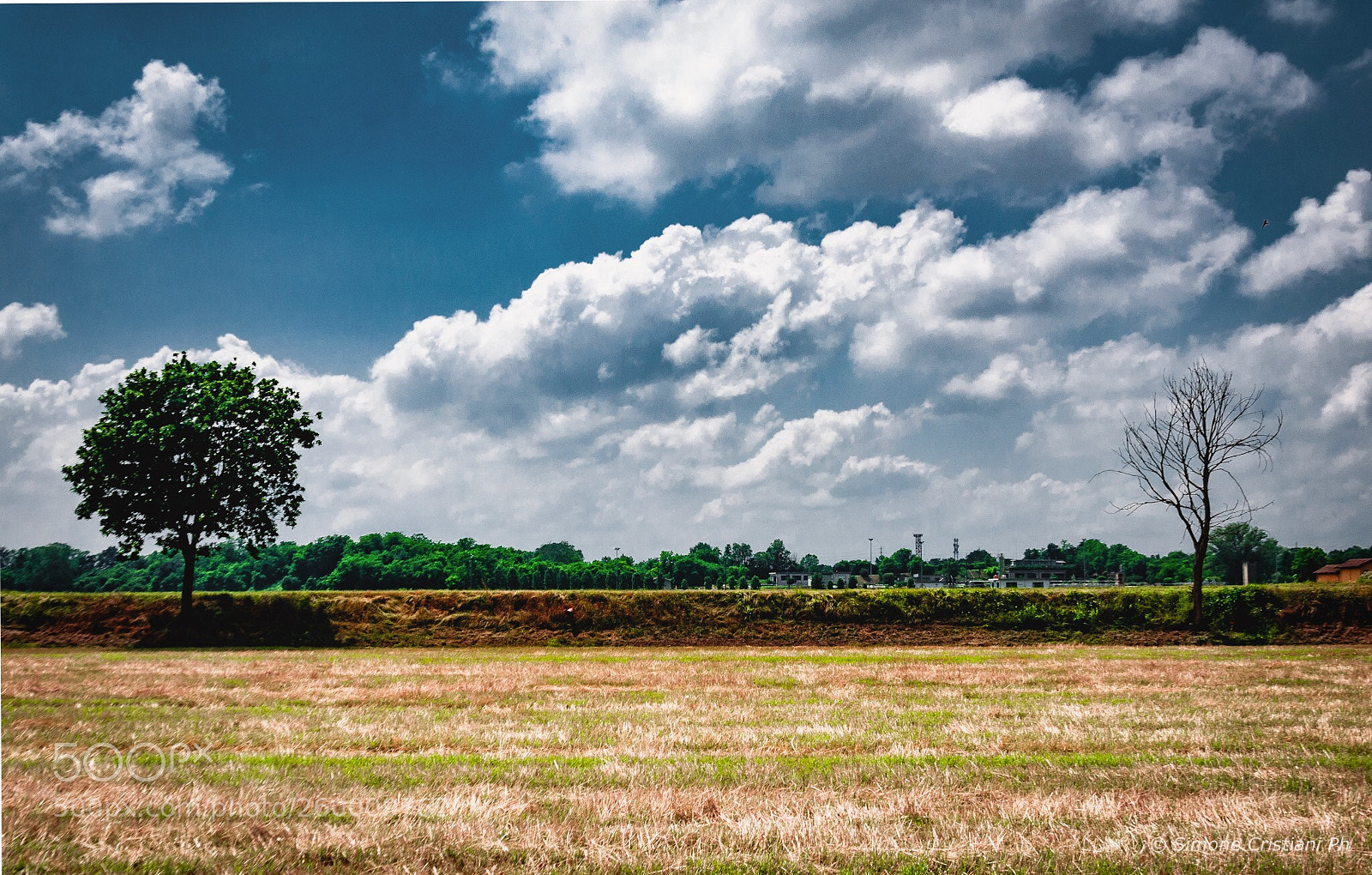 Nikon D90 sample photo. Le differenze photography