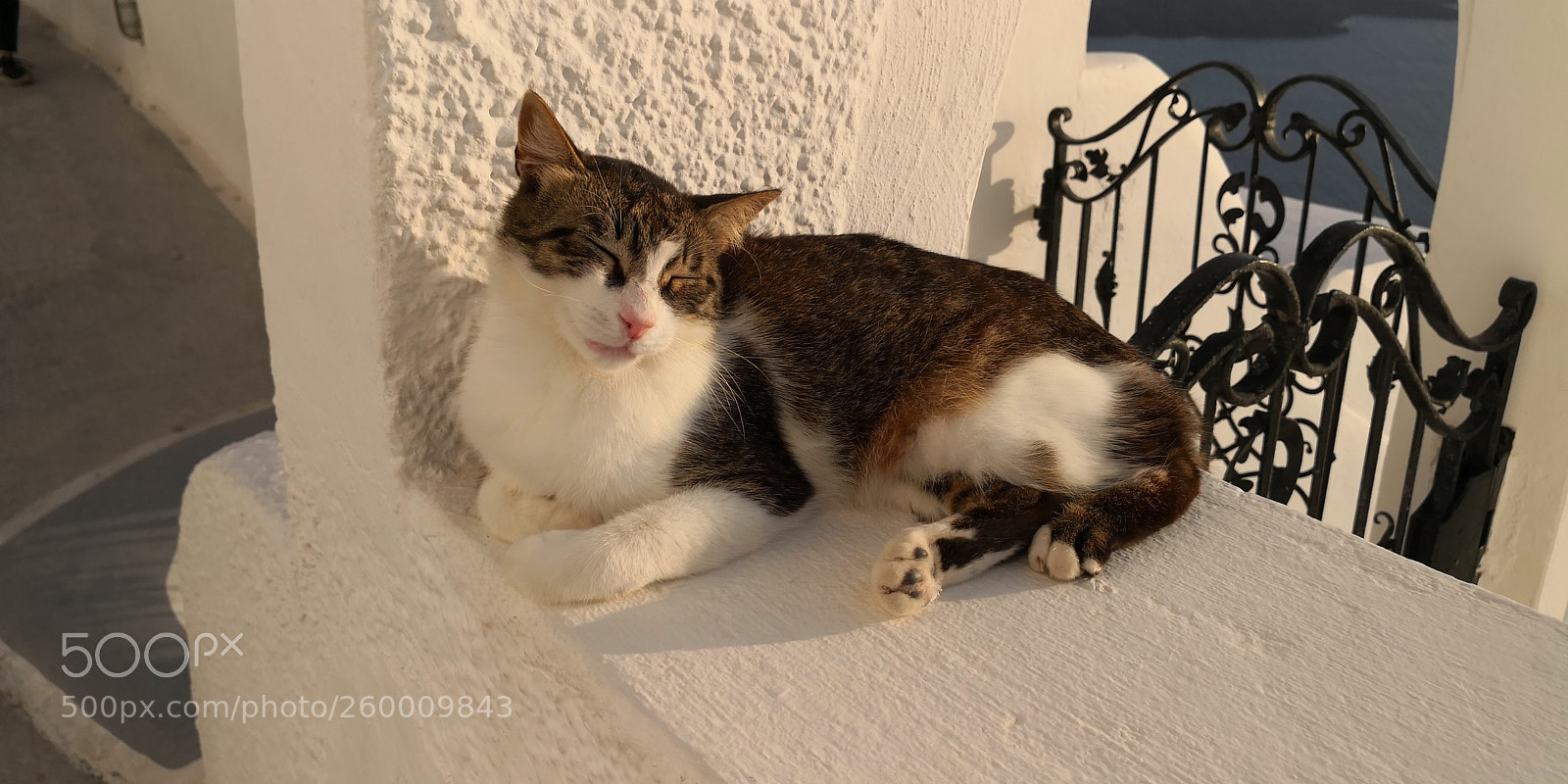 HUAWEI Mate 10 Pro sample photo. Untitled photography