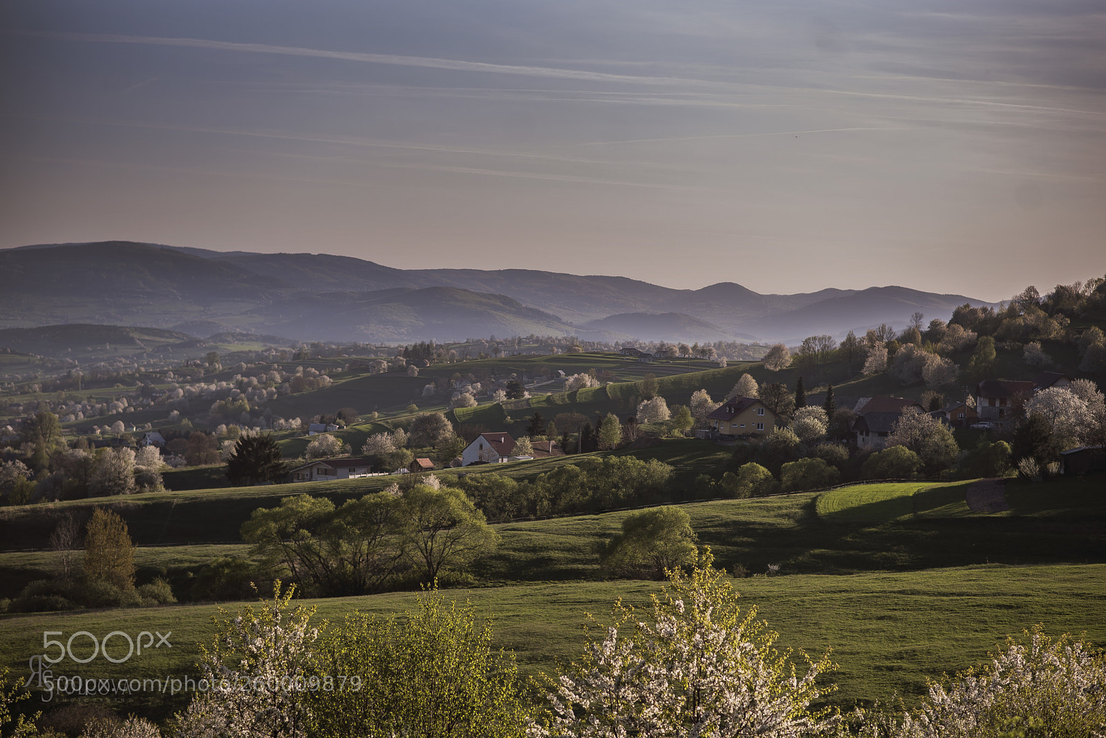 Nikon D750 sample photo. 23.jpg photography