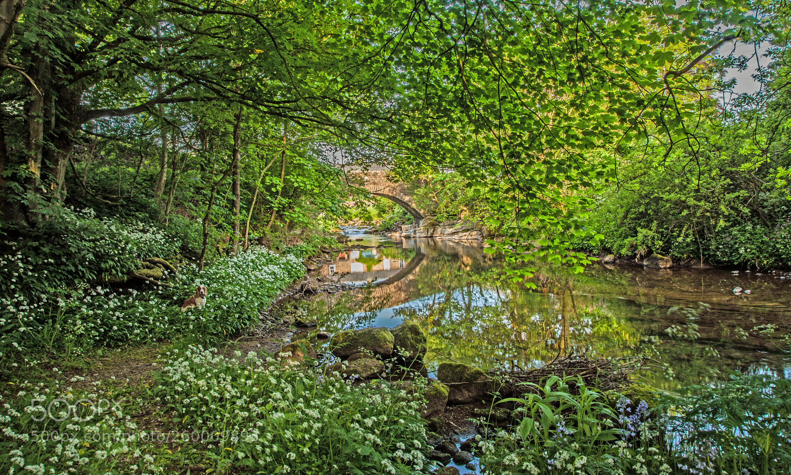 Canon EOS 5D Mark II sample photo. Cumbria photography