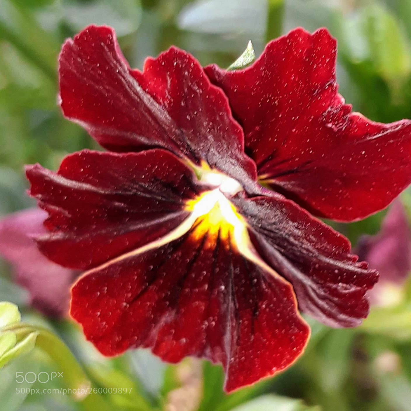 Samsung Galaxy J5 sample photo. Untitled photography