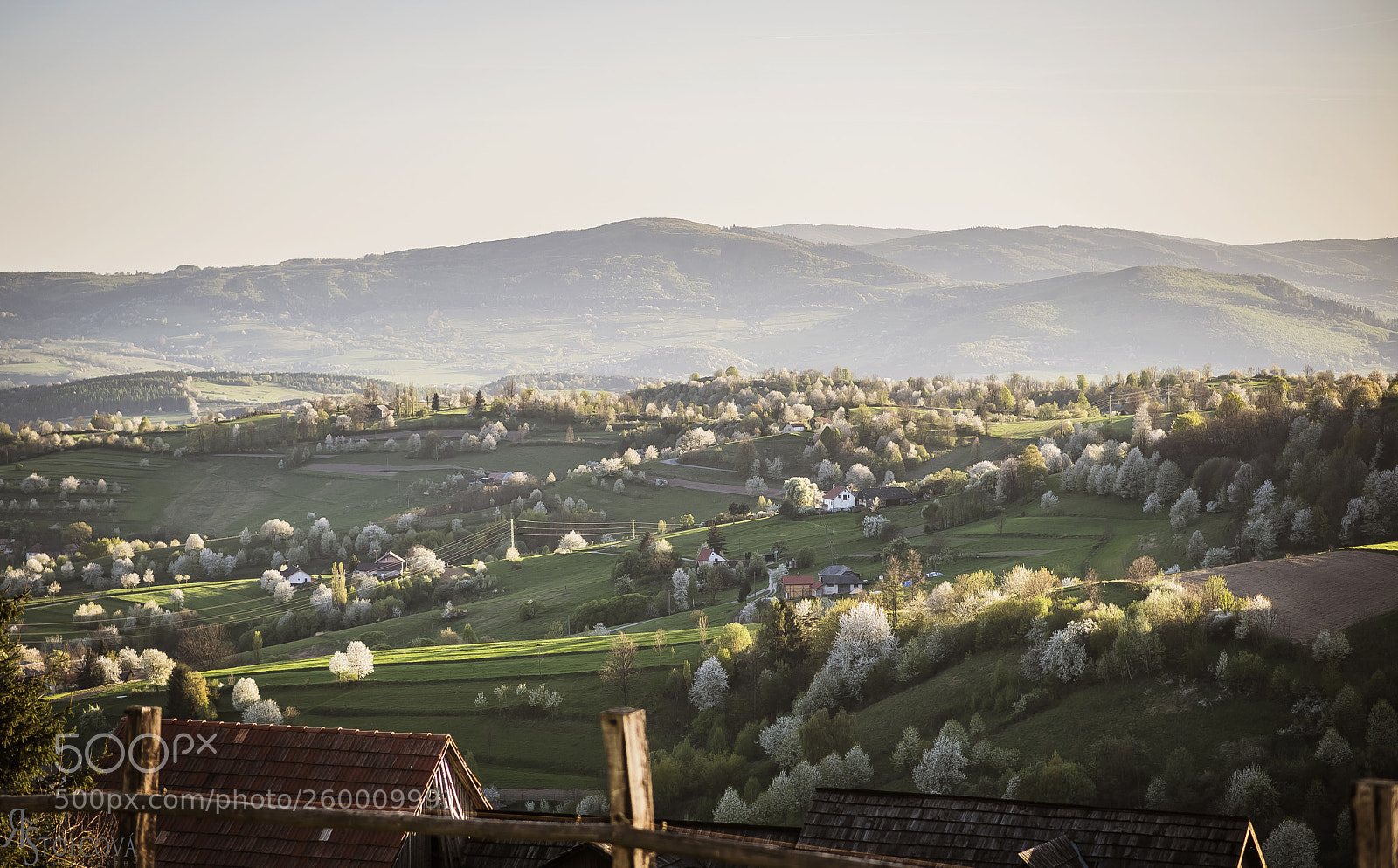 Nikon D750 sample photo. 24.jpg photography
