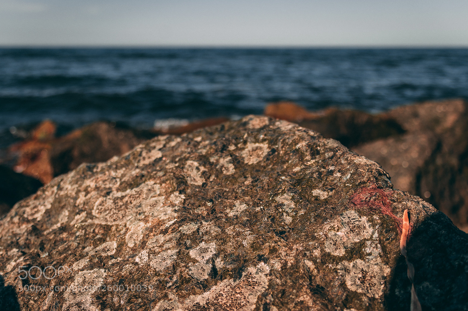 Canon EOS 80D sample photo. Forever at the beach! photography