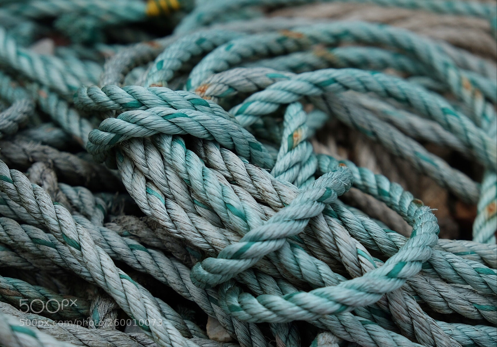 Fujifilm X-E2 sample photo. Blue. photography