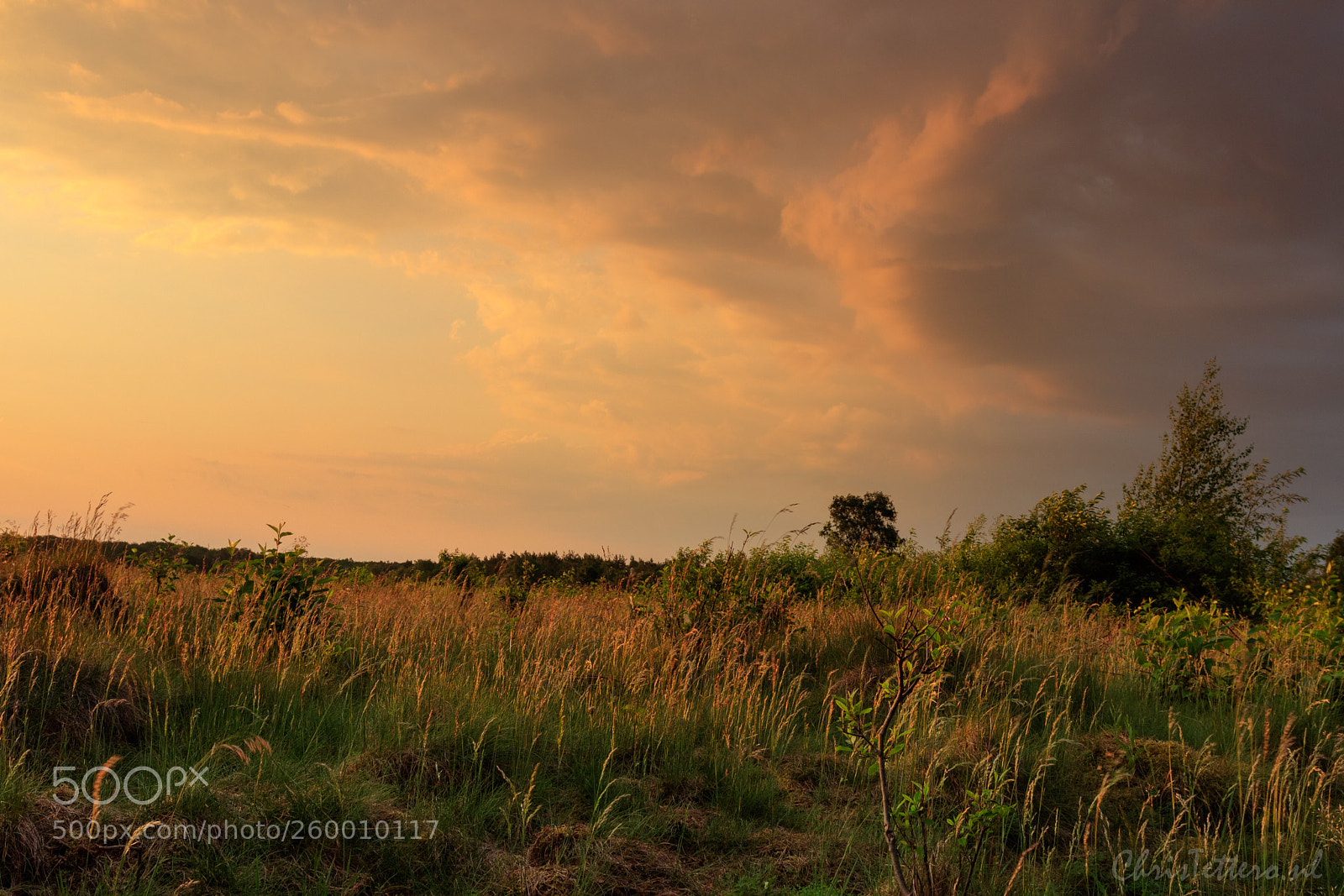Canon EOS 80D sample photo. Sunrise stroese heide photography