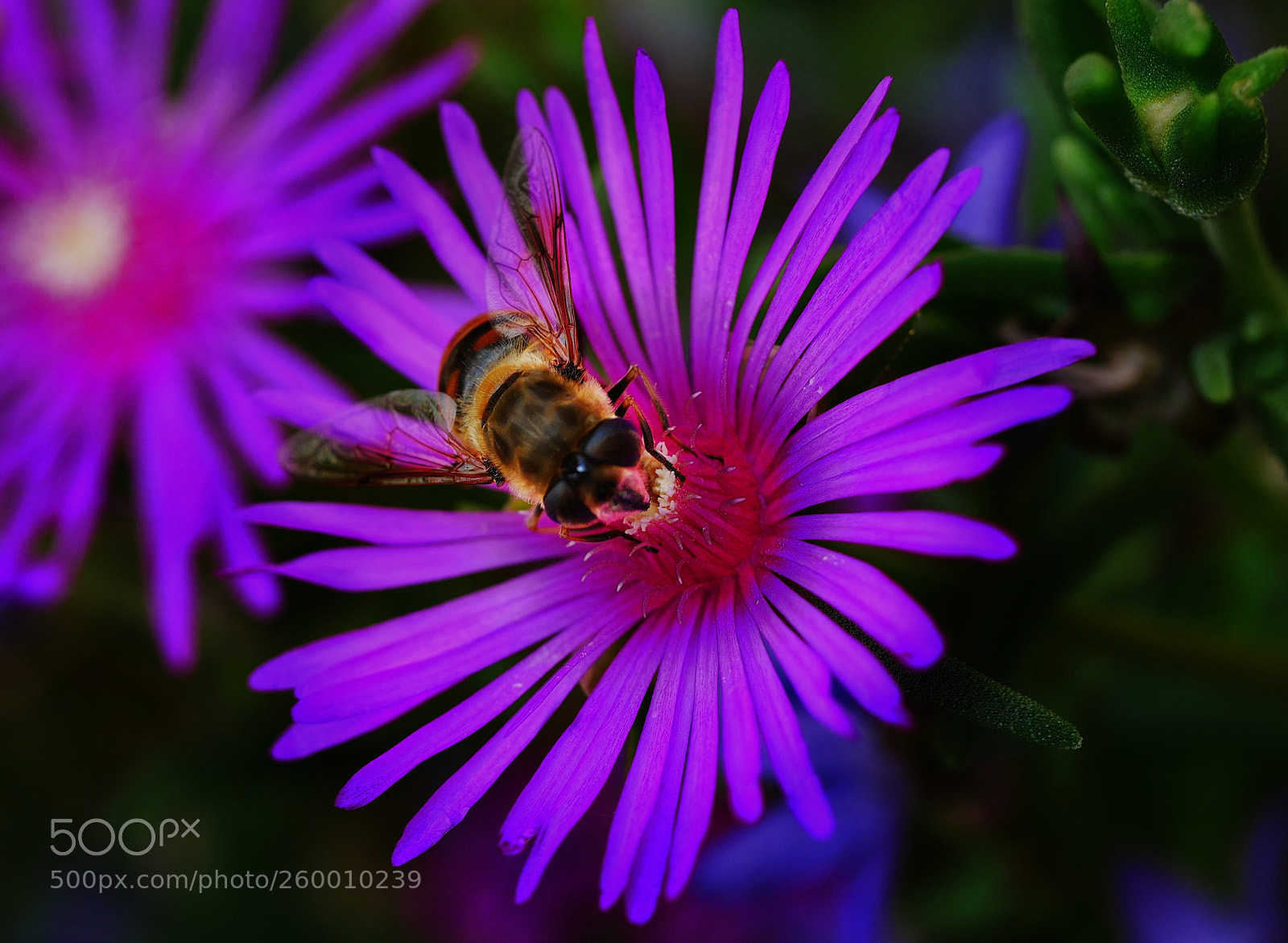 Panasonic Lumix DMC-GX85 (Lumix DMC-GX80 / Lumix DMC-GX7 Mark II) sample photo. ???... photography