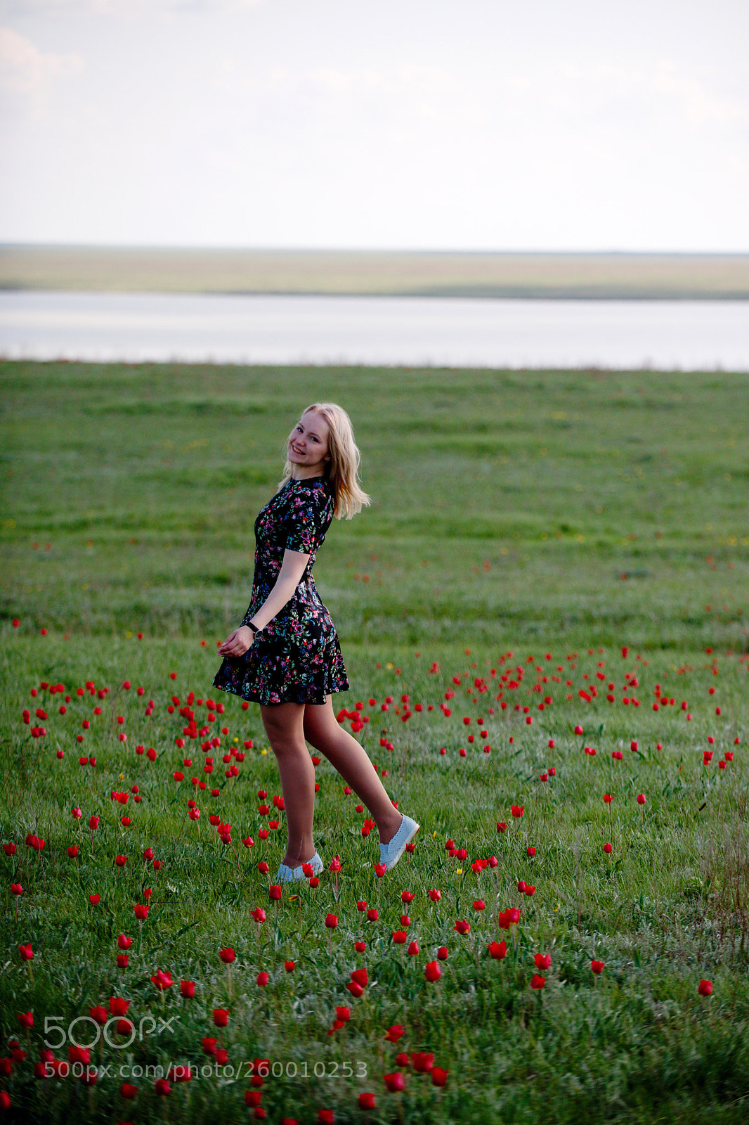 Nikon D800E sample photo. Wild tulips photography
