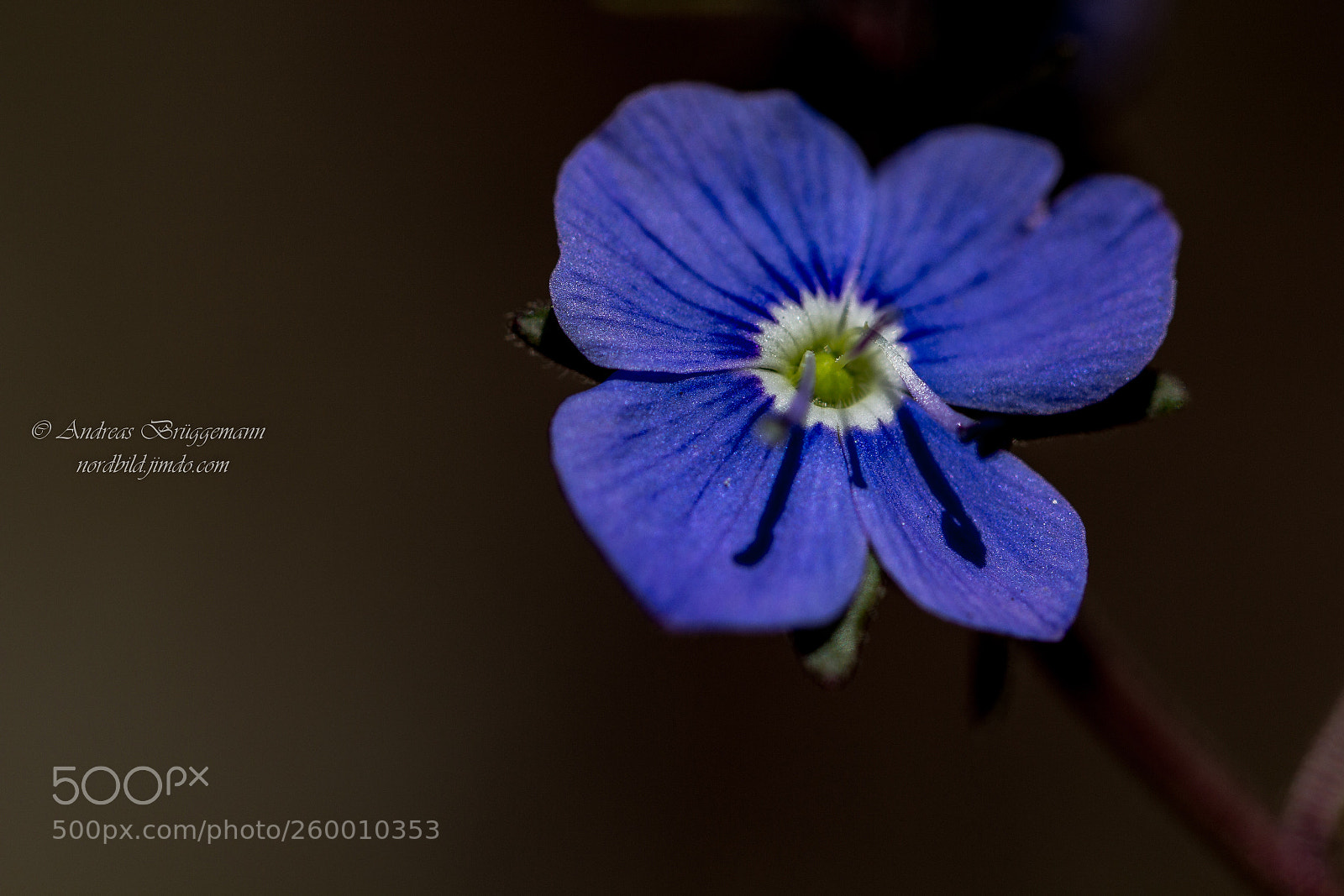 Canon EOS 60D sample photo. After breakfast_11 photography