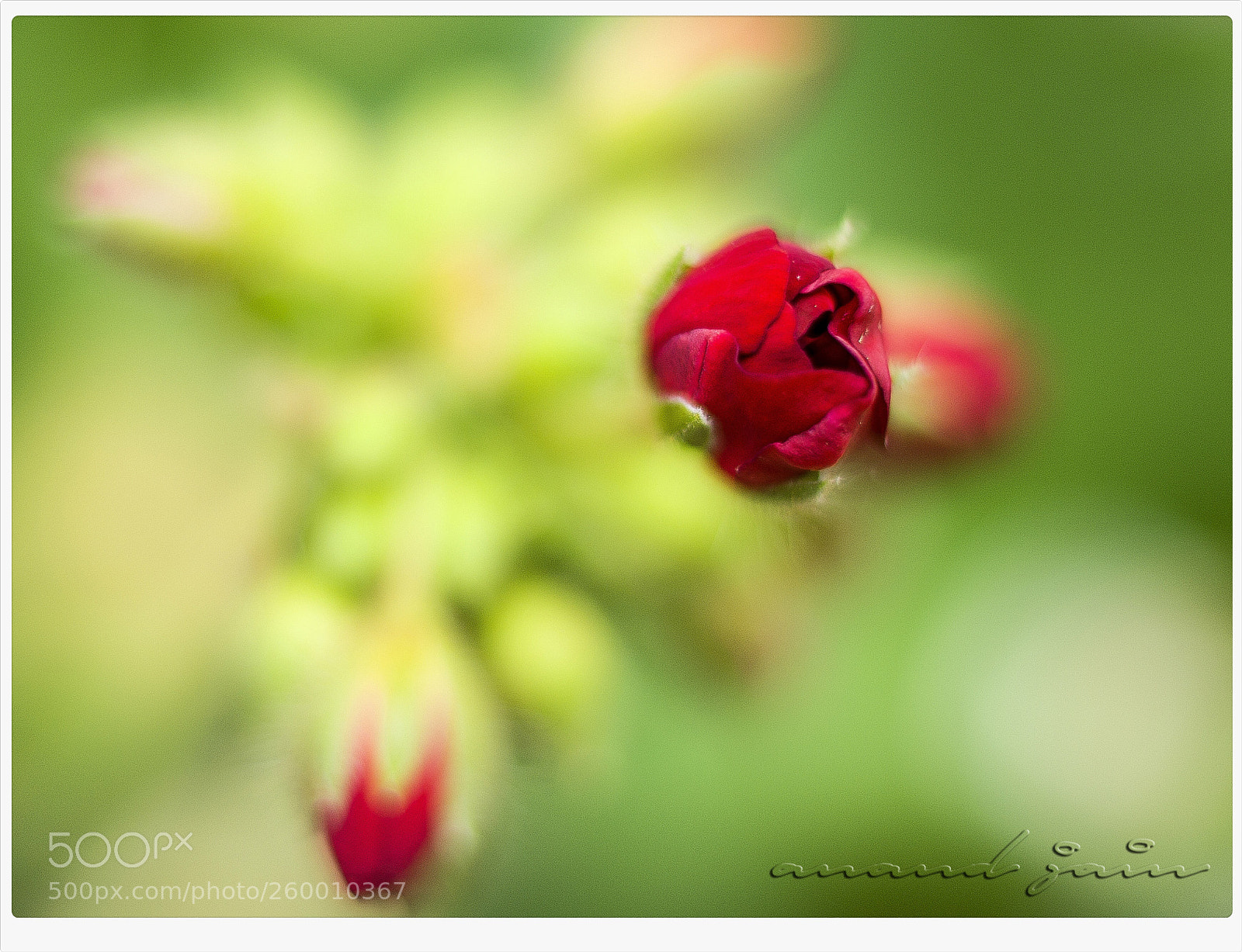 Nikon D7000 sample photo. A new beginning. photography