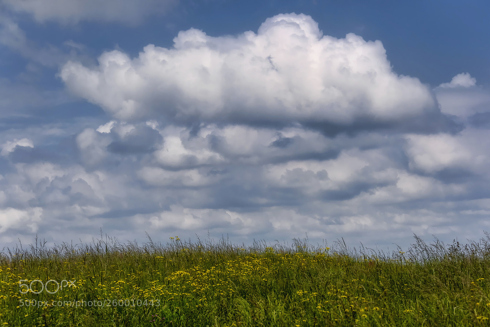 Nikon D810 sample photo. Meadows in the sky photography