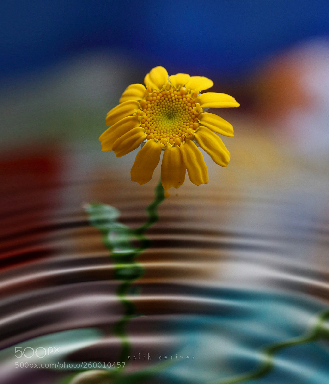 Canon EOS 6D sample photo. Attractive blonde.. photography