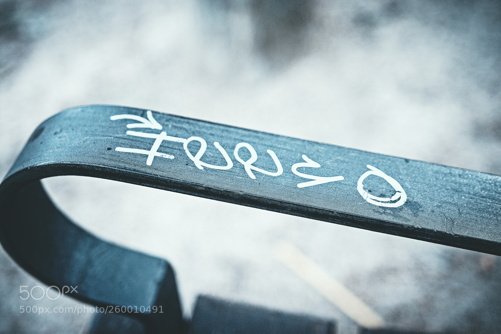 Nikon D7200 sample photo. Esv photography