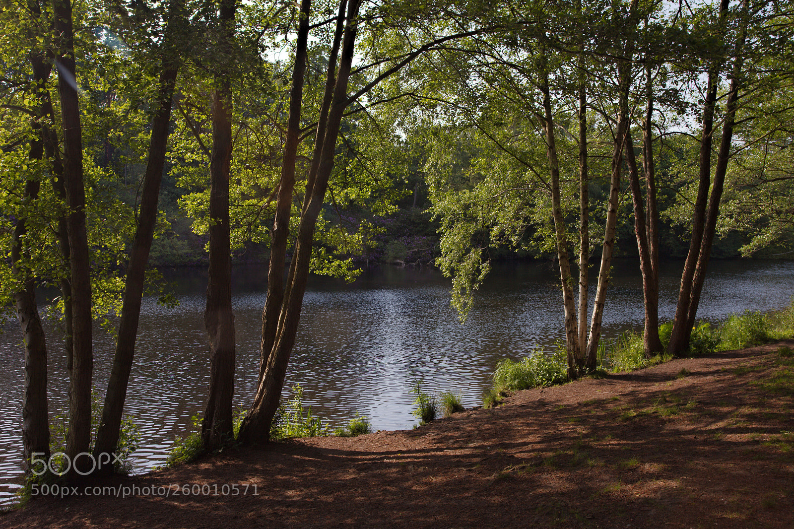 Canon EOS 5D Mark II sample photo. By the lake photography