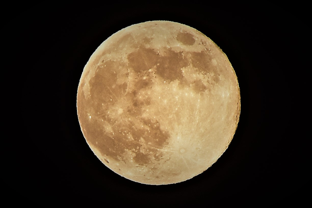 Nikon D5600 sample photo