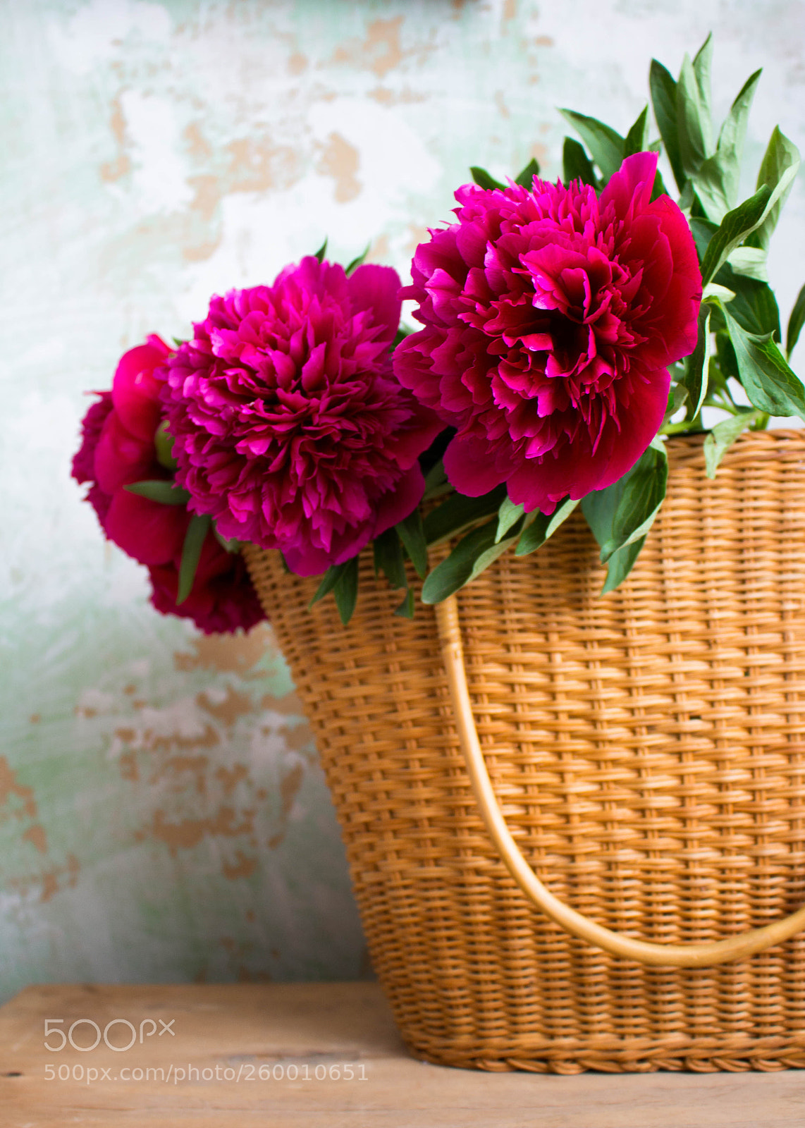 Canon EOS 700D (EOS Rebel T5i / EOS Kiss X7i) sample photo. Flowers photography