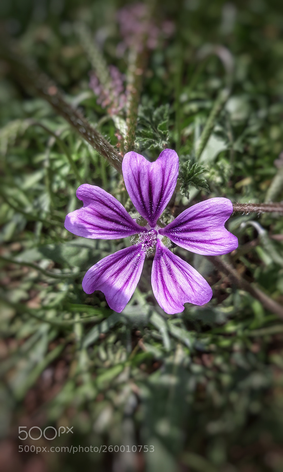 Samsung Galaxy J7 sample photo. Untitled photography