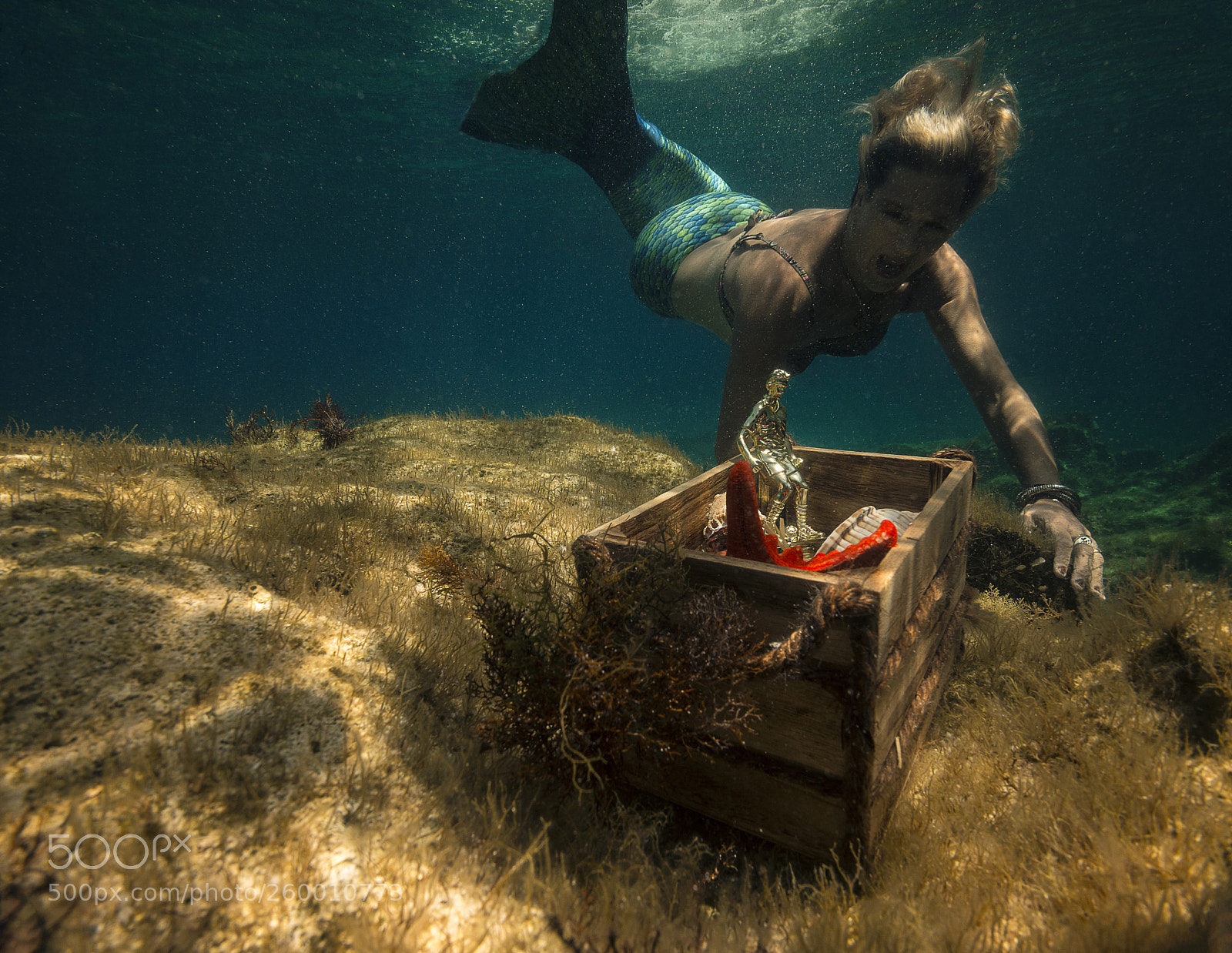 Nikon D800E sample photo. Mermaid found treasure photography