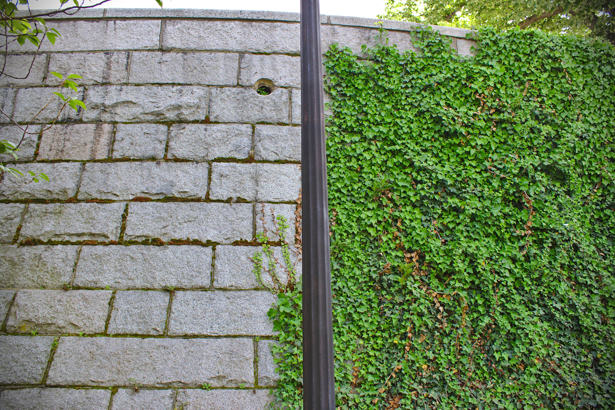 Canon EOS 1000D (EOS Digital Rebel XS / EOS Kiss F) sample photo. Beauty in boston photography