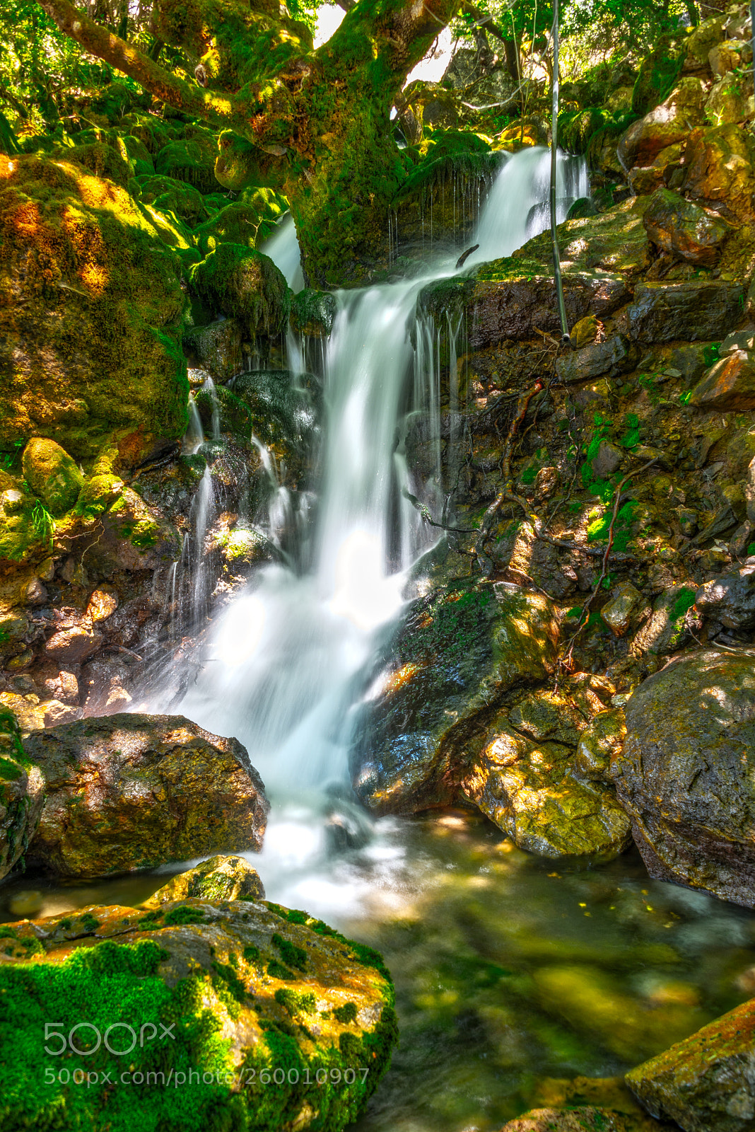 Nikon D750 sample photo. The perfect element photography