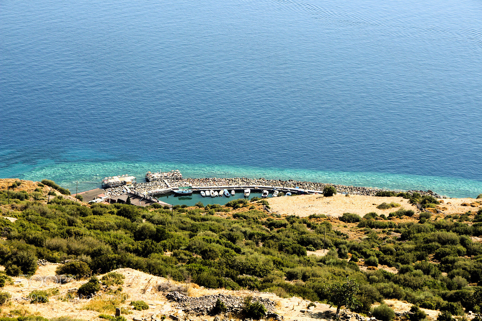 Canon EOS 700D (EOS Rebel T5i / EOS Kiss X7i) sample photo. Assos photography
