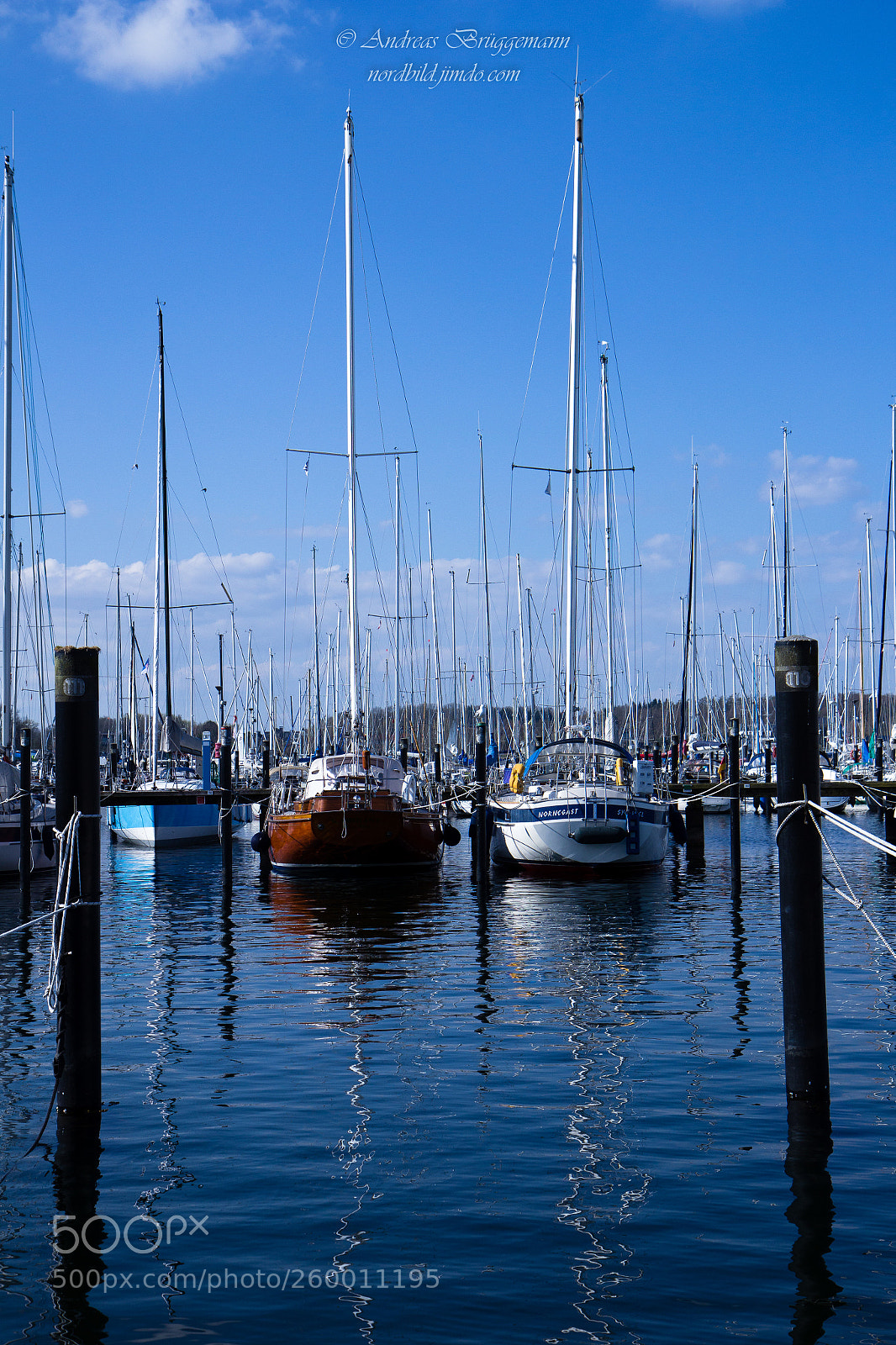 Canon EOS 60D sample photo. Where i live_5 photography