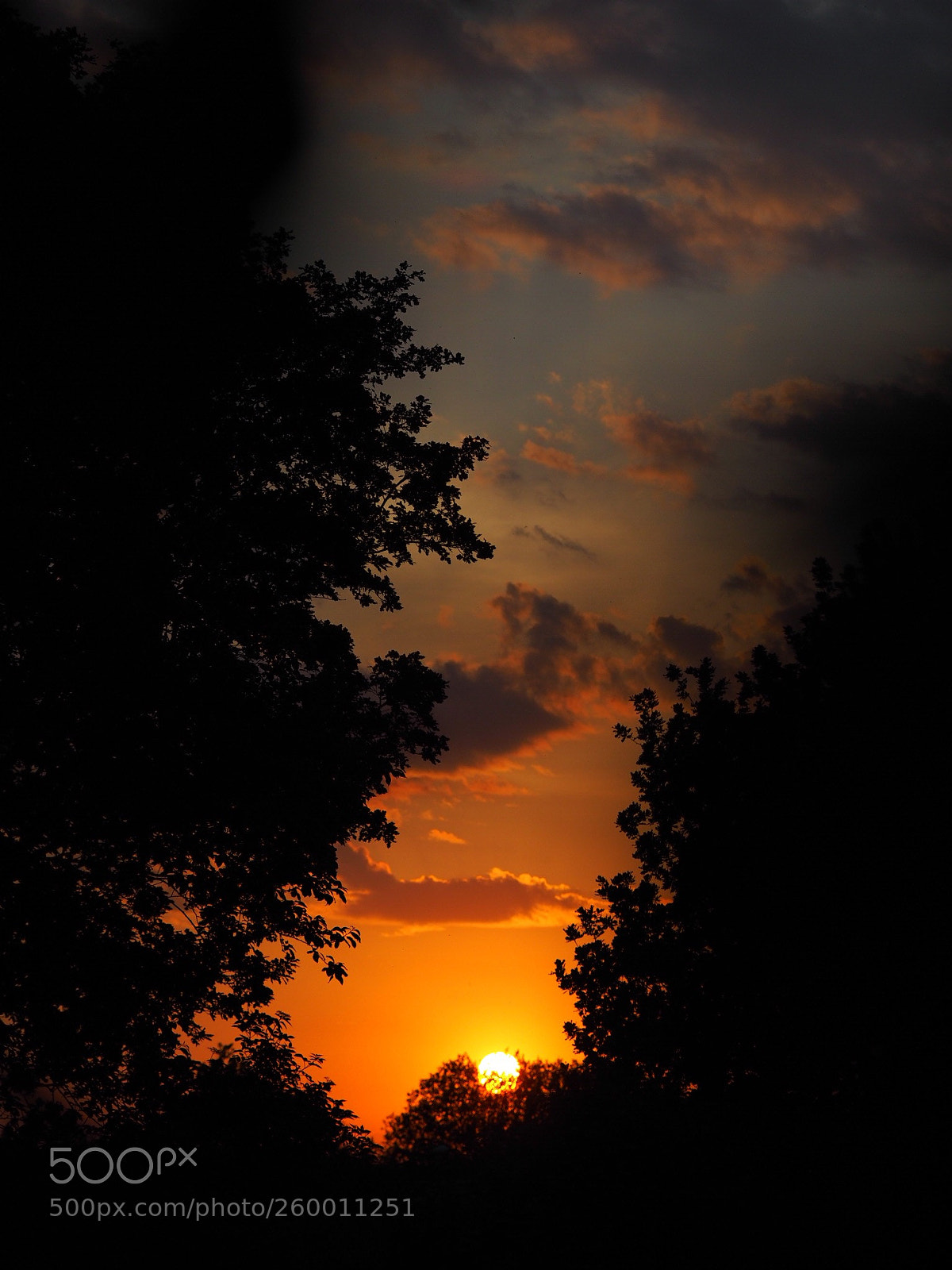 Olympus OM-D E-M1 Mark II sample photo. Sunset this evening photography