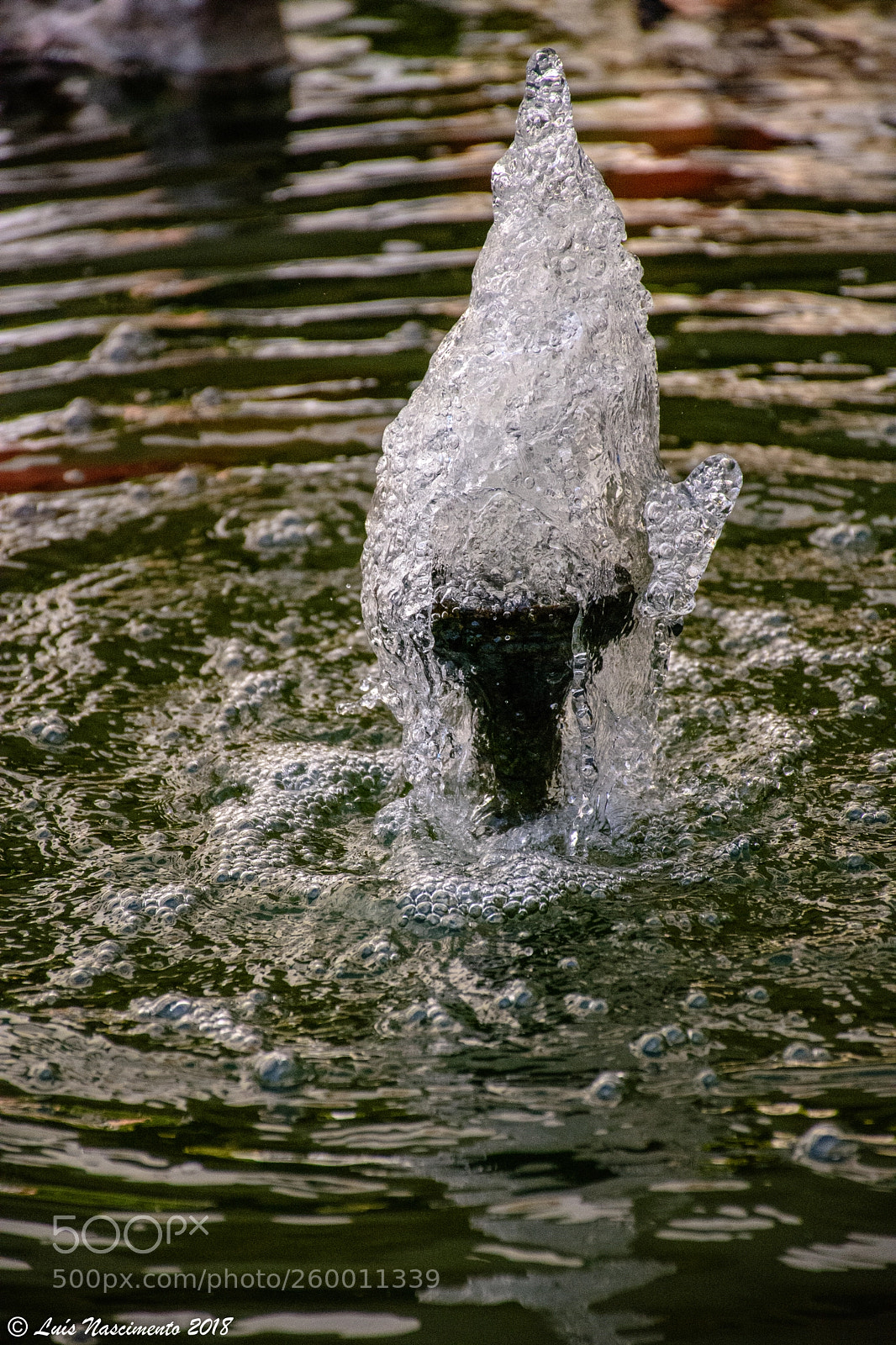 Nikon D7200 sample photo. Frozen water photography