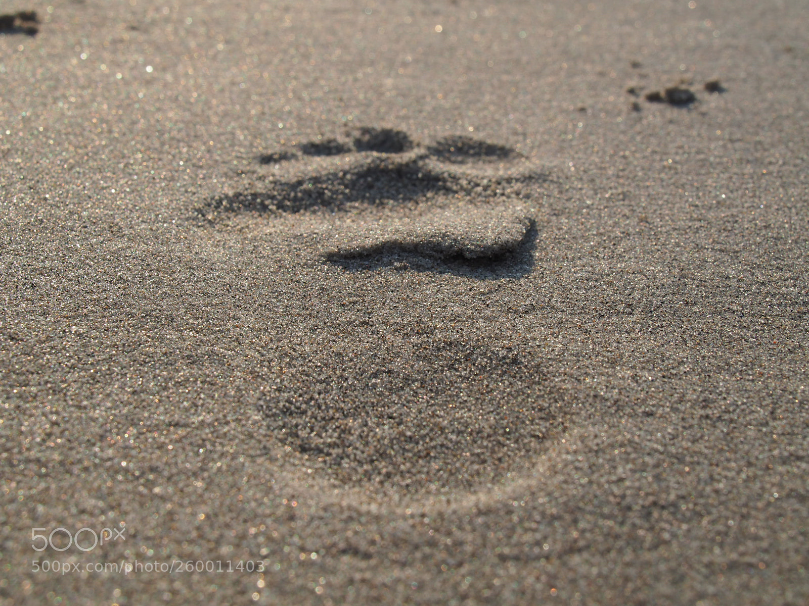 Olympus OM-D E-M10 II sample photo. Footprint photography