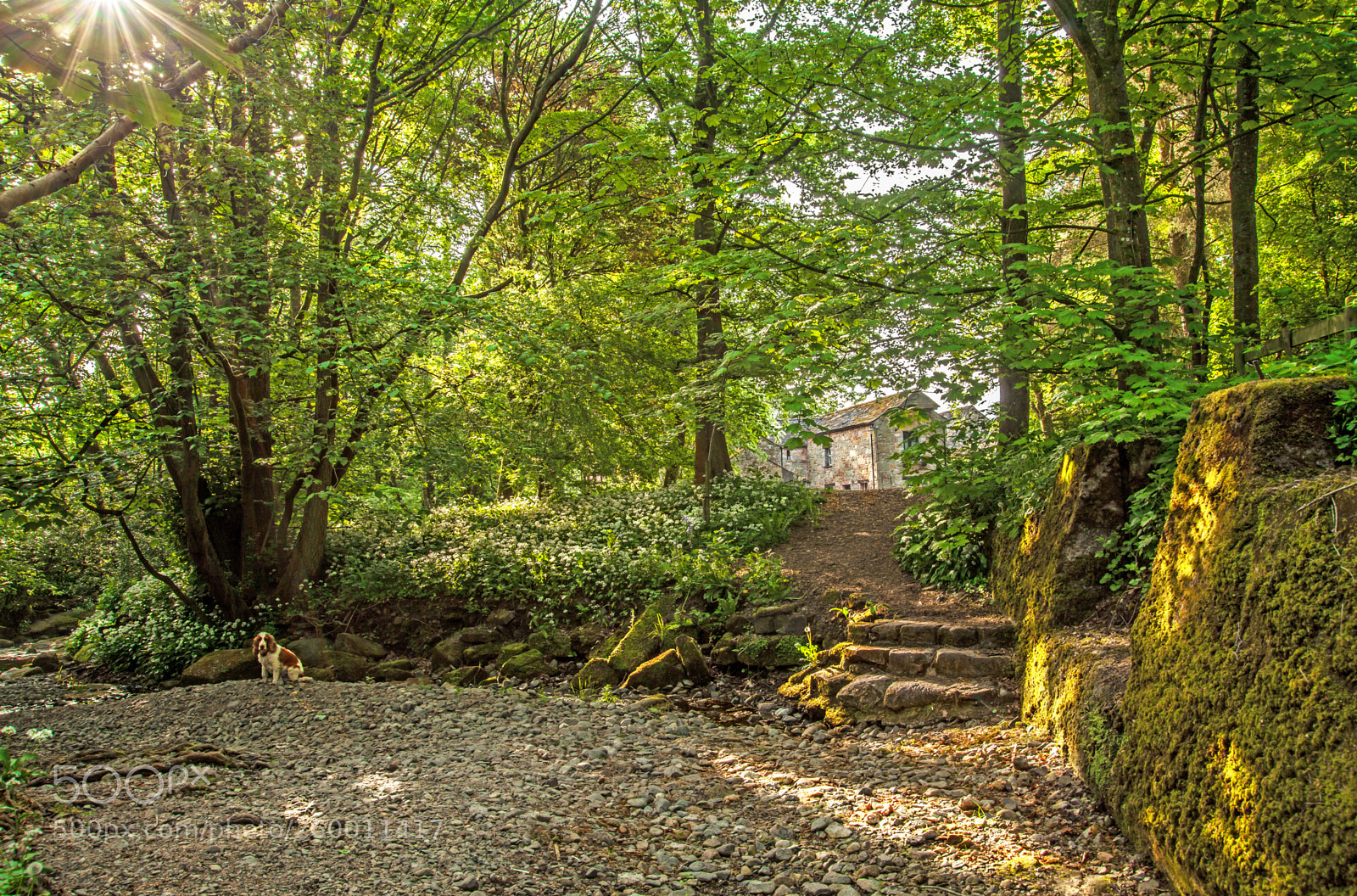 Canon EOS 5D Mark II sample photo. Cumbria photography
