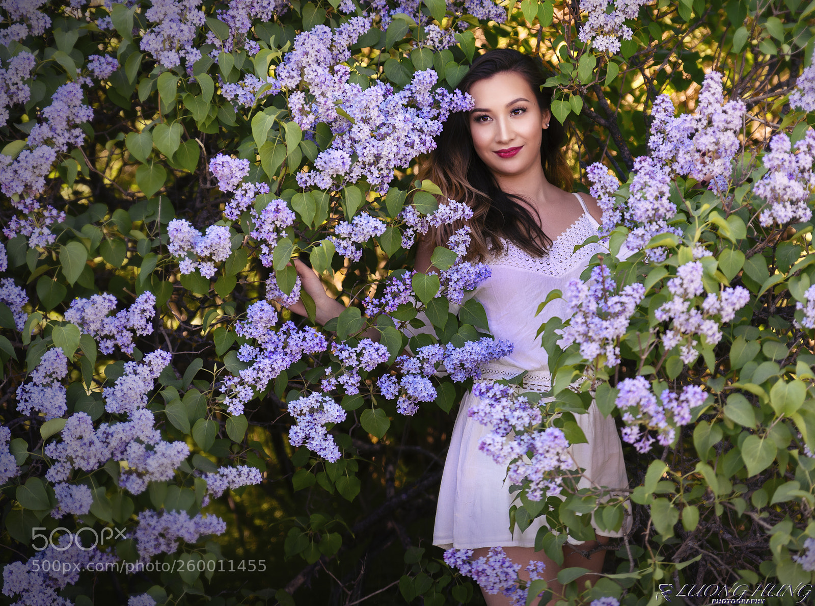 Nikon D750 sample photo. @eriko matsuoi photography