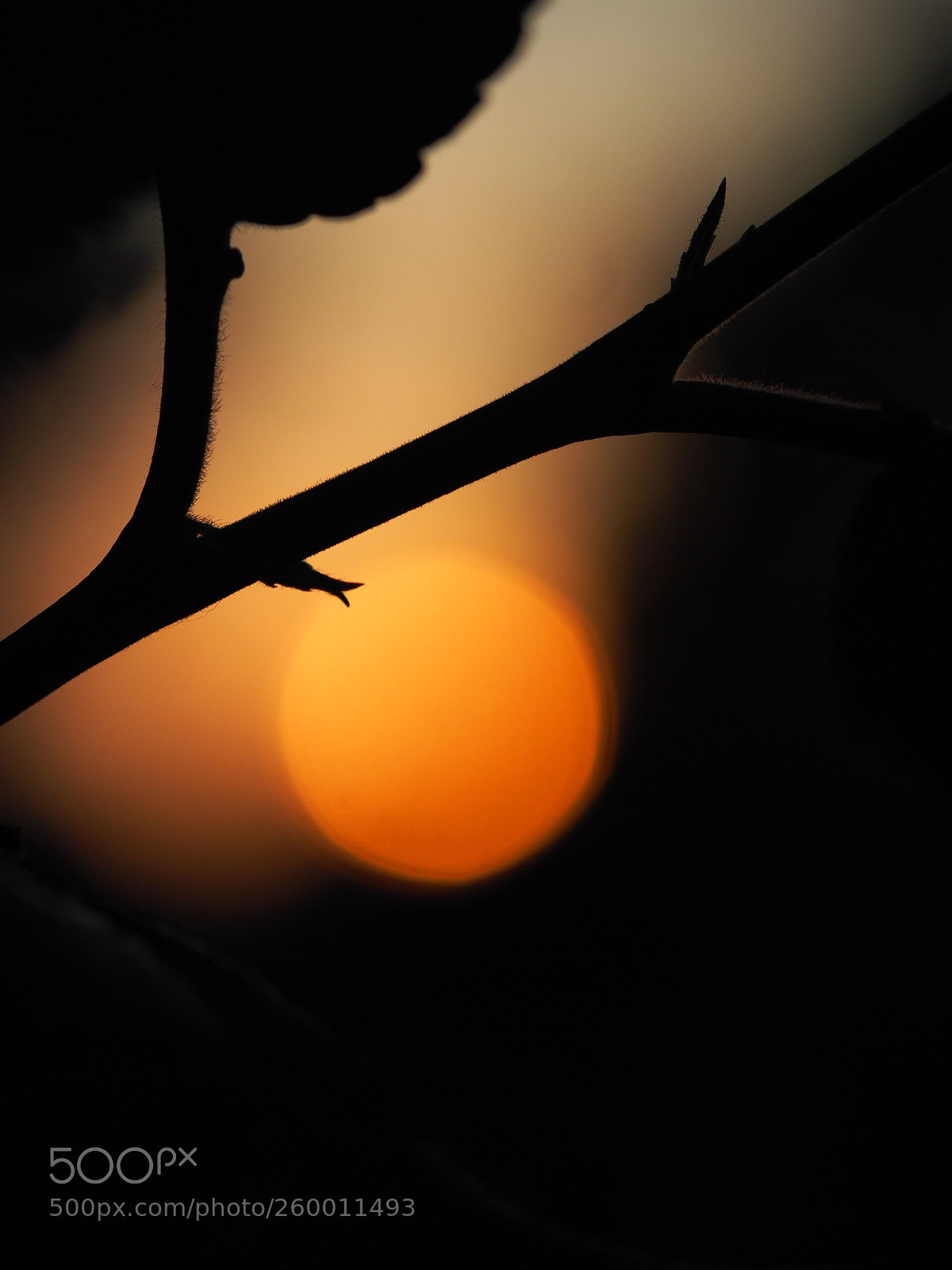 Olympus OM-D E-M1 Mark II sample photo. The same sunset in photography