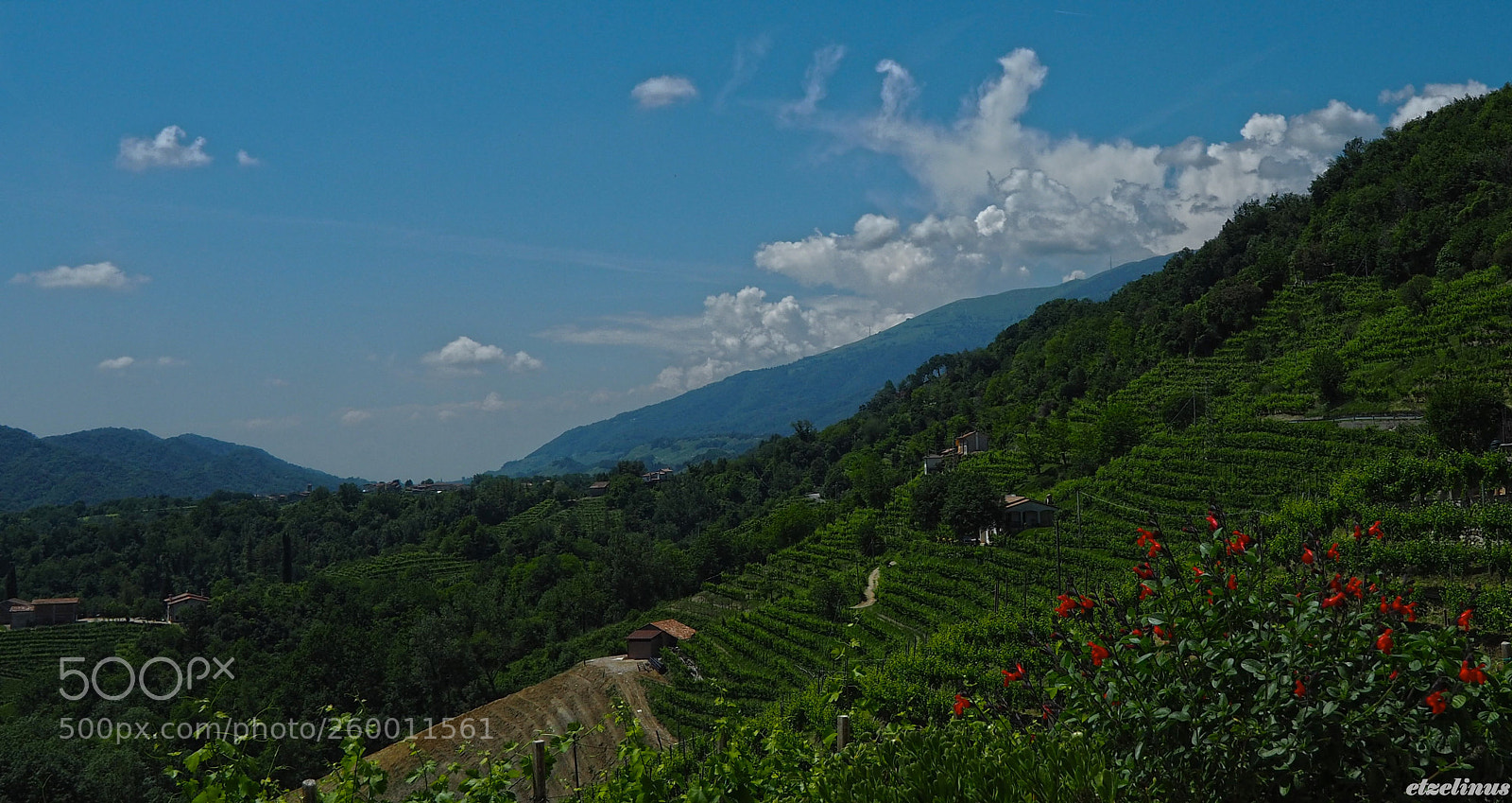 Olympus OM-D E-M5 II sample photo. Le terre del prosecco photography