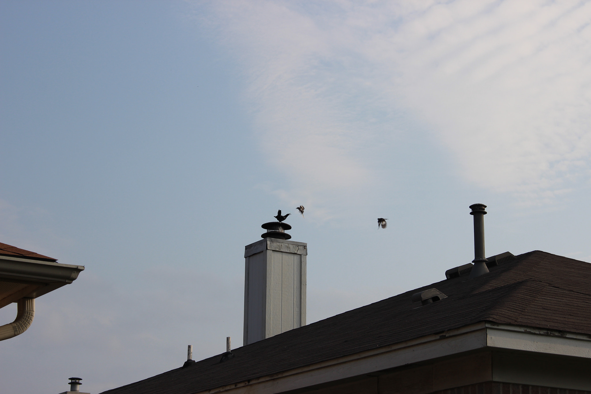 Canon EOS 600D (Rebel EOS T3i / EOS Kiss X5) sample photo. Img photography