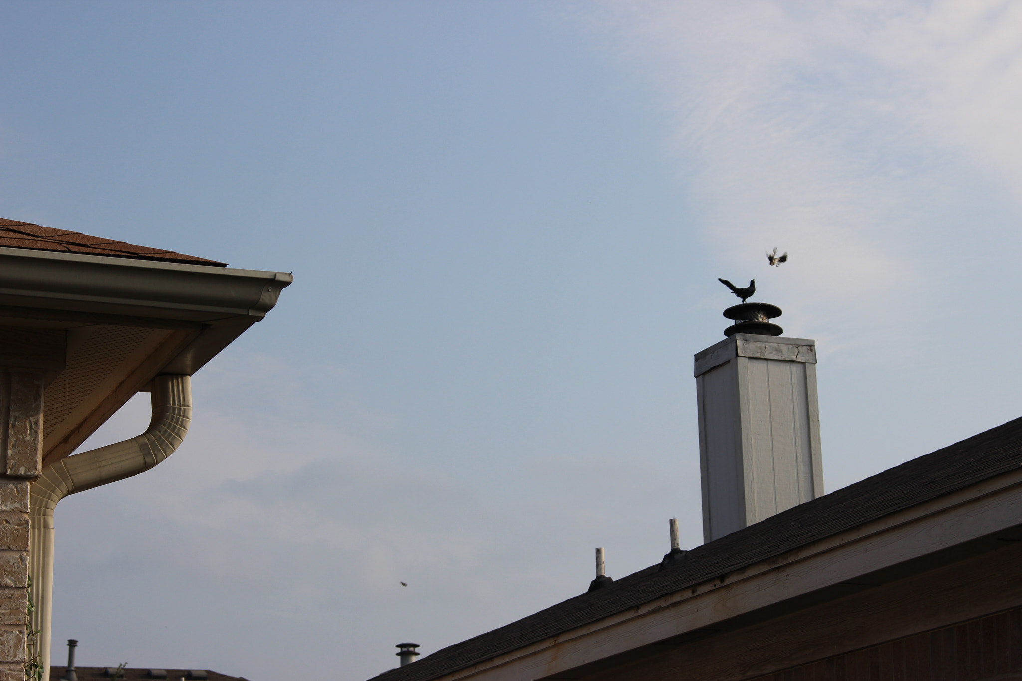 Canon EOS 600D (Rebel EOS T3i / EOS Kiss X5) sample photo. Img photography