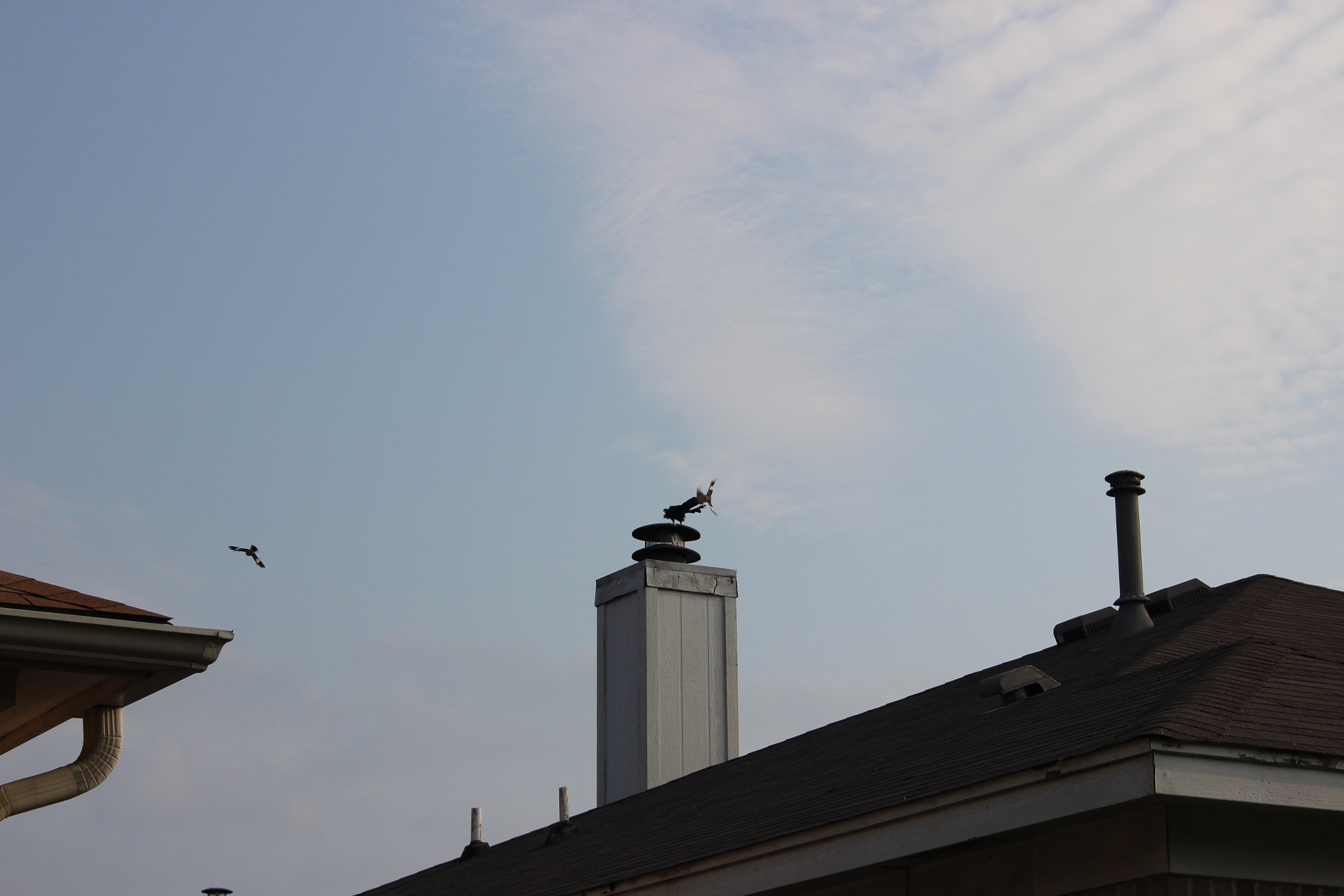 Canon EOS 600D (Rebel EOS T3i / EOS Kiss X5) sample photo. Img photography