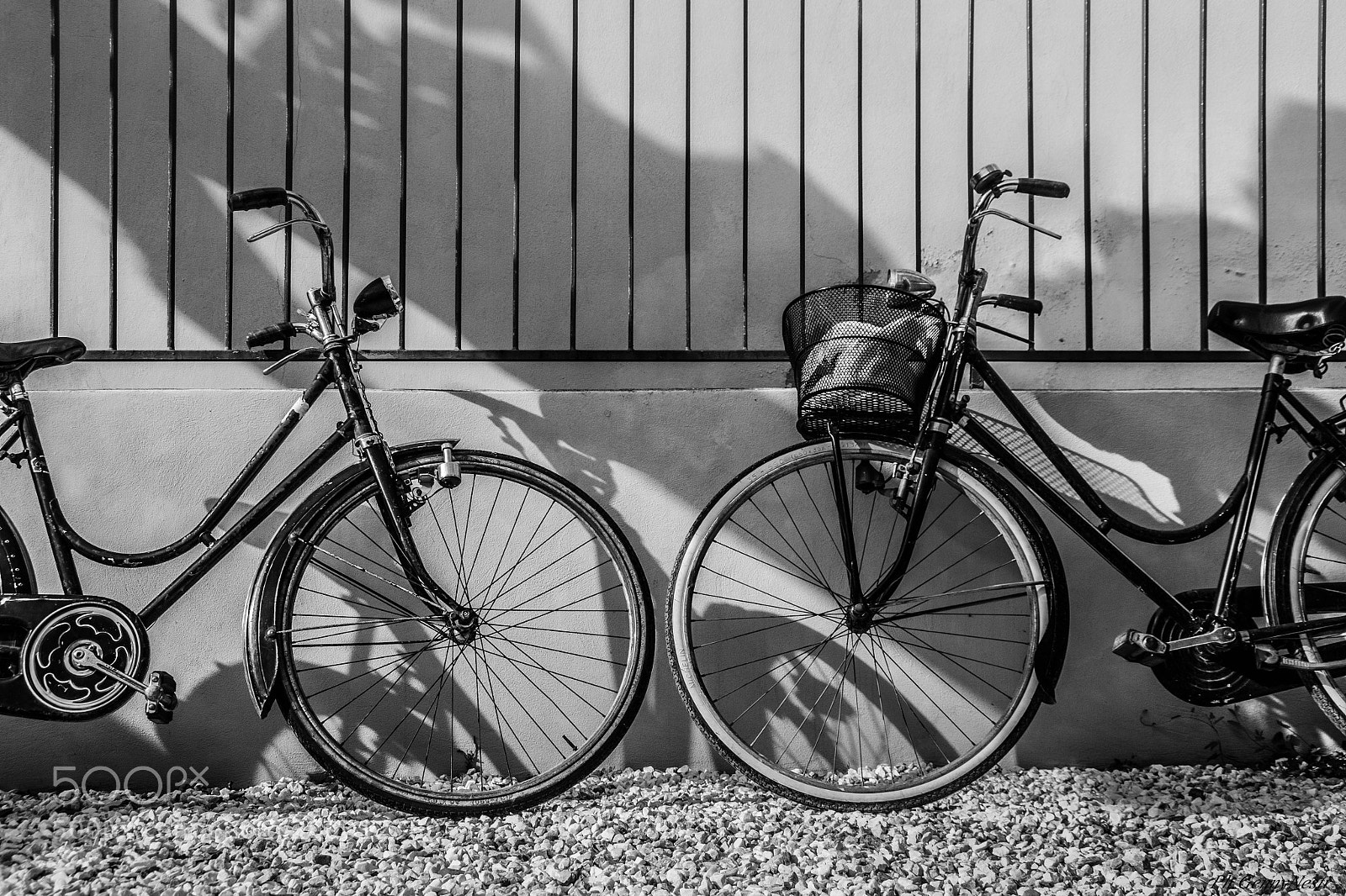 Nikon D3100 sample photo. Untitled photography