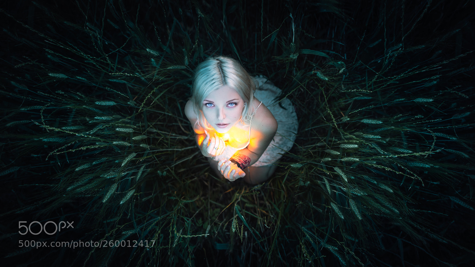 Nikon D800 sample photo. Angel. photography
