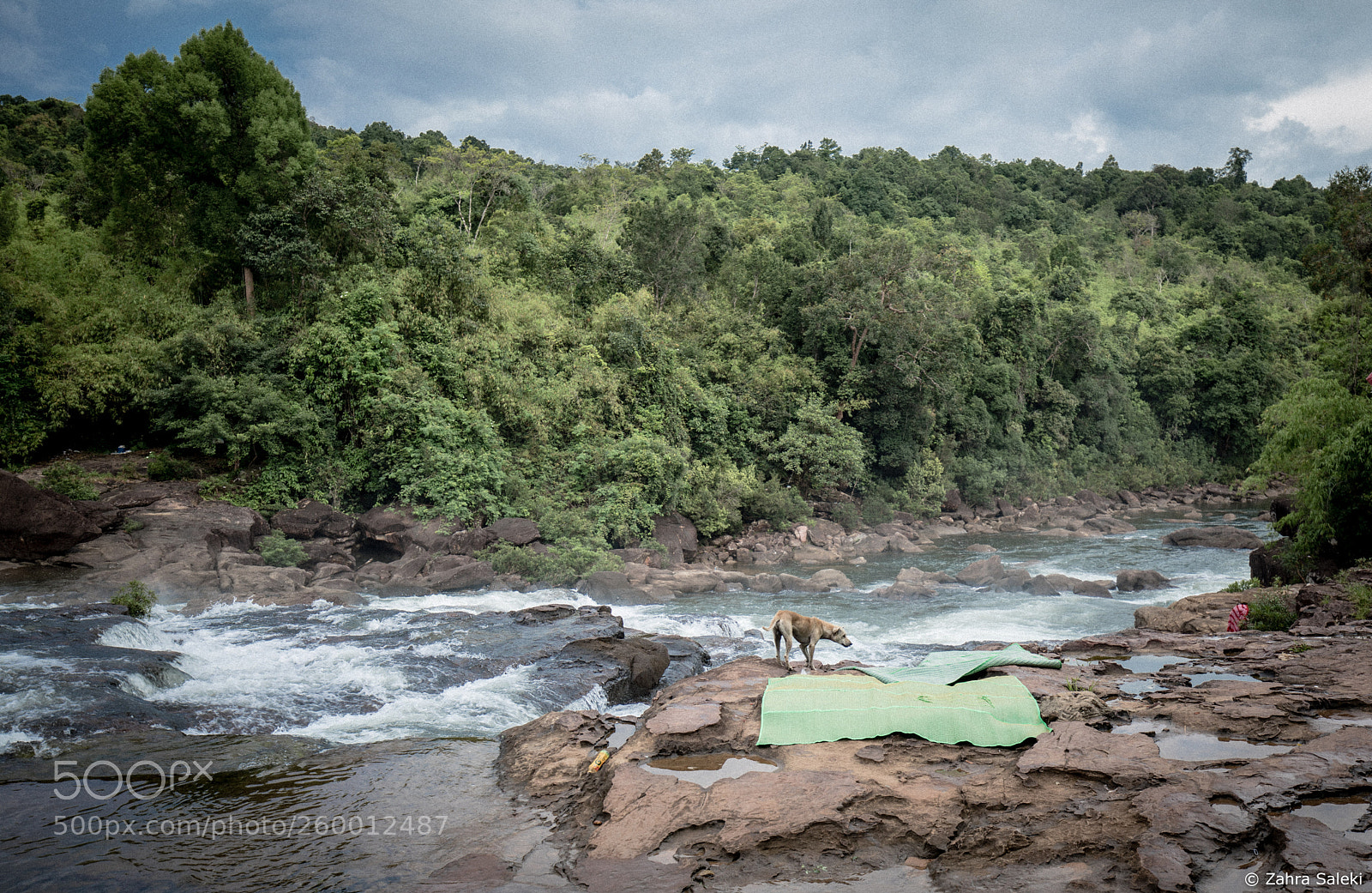 Canon EOS 5D Mark IV sample photo. Dream of river photography