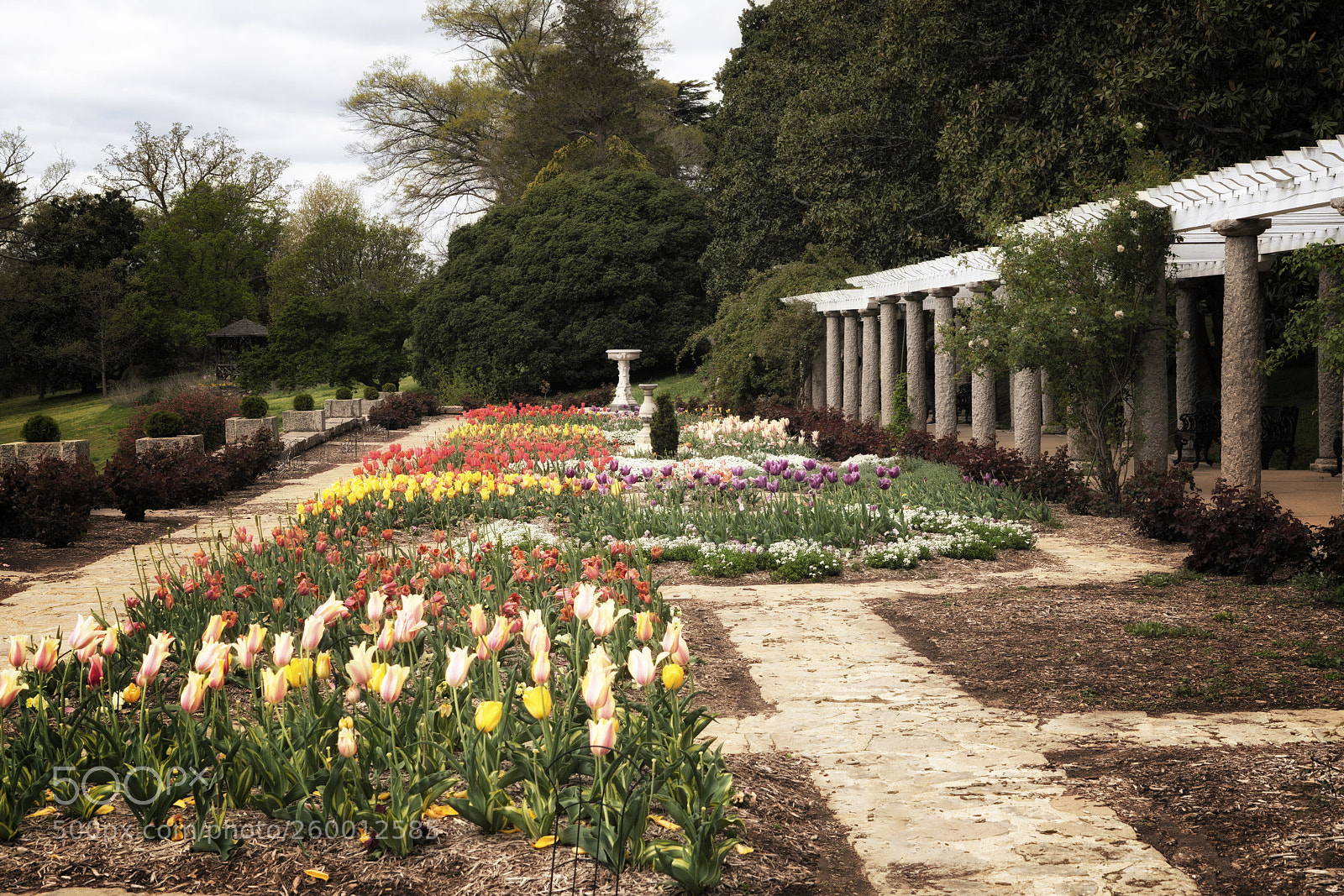 Sony a7R III sample photo. Italian garden in richmond photography