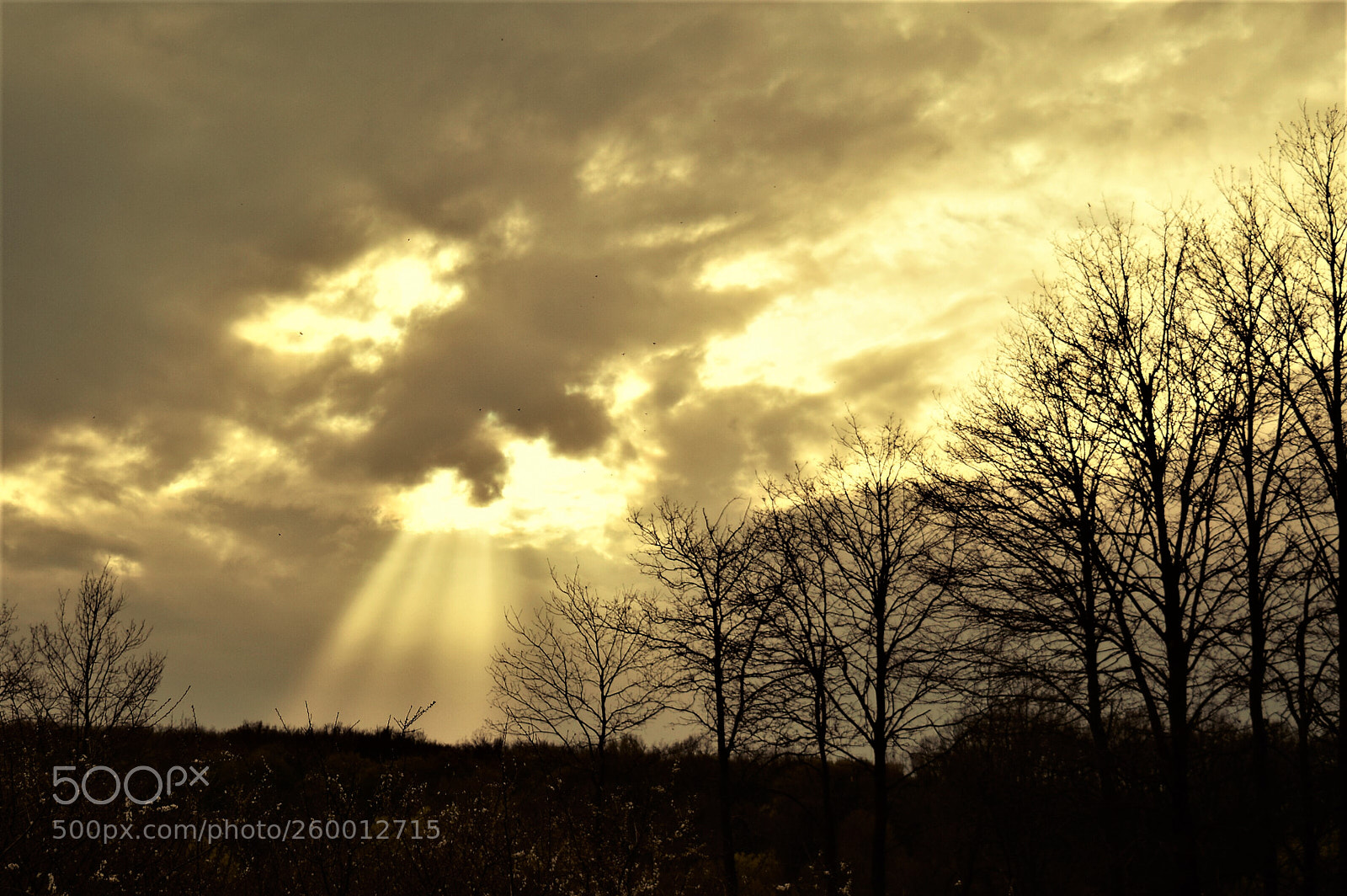 Nikon D3300 sample photo. Dramatic photography