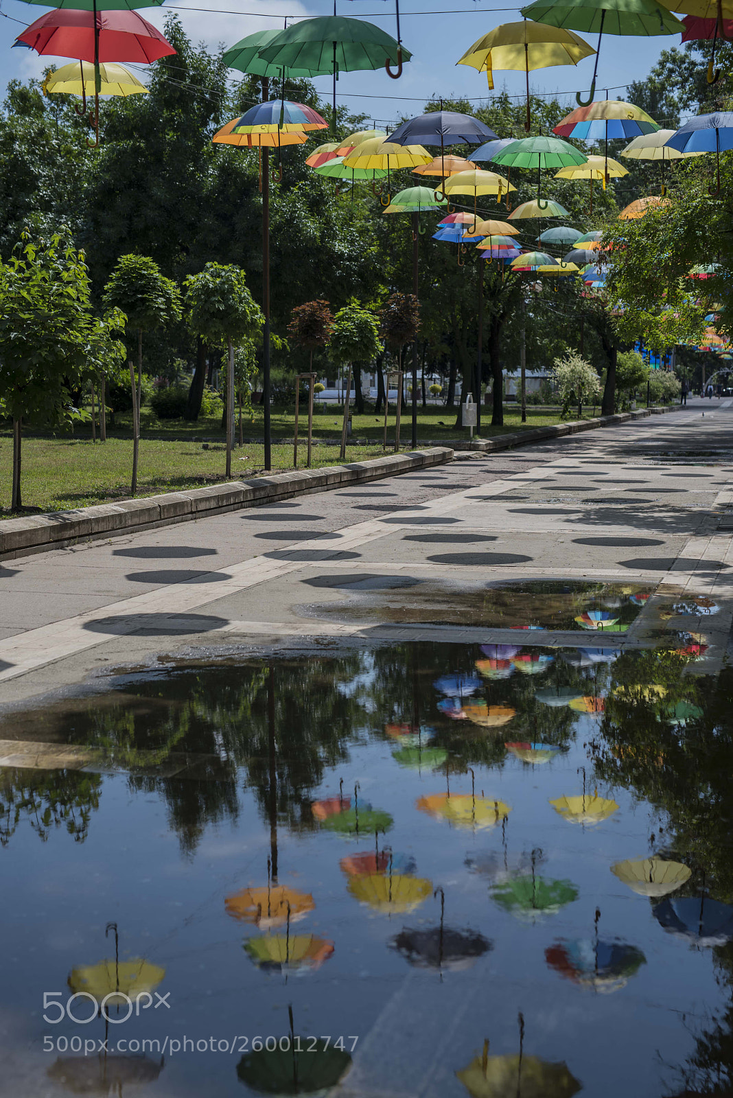 Nikon D750 sample photo. Colorfull photography