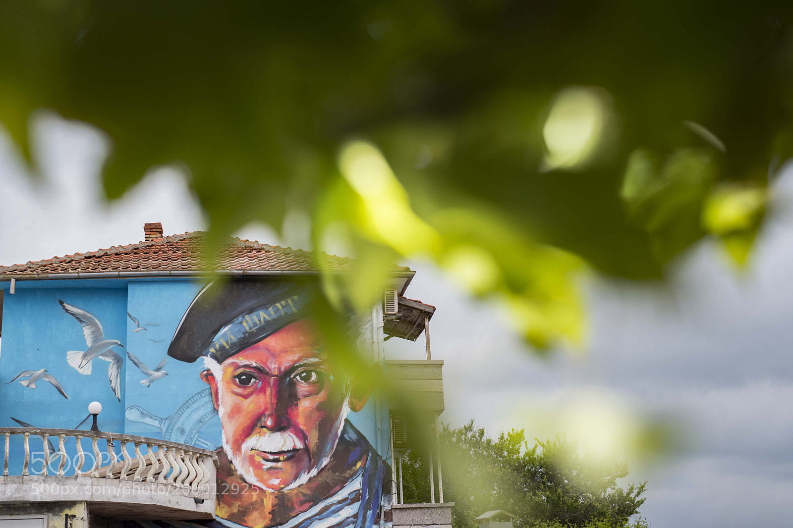 Nikon D750 sample photo. Captain photography