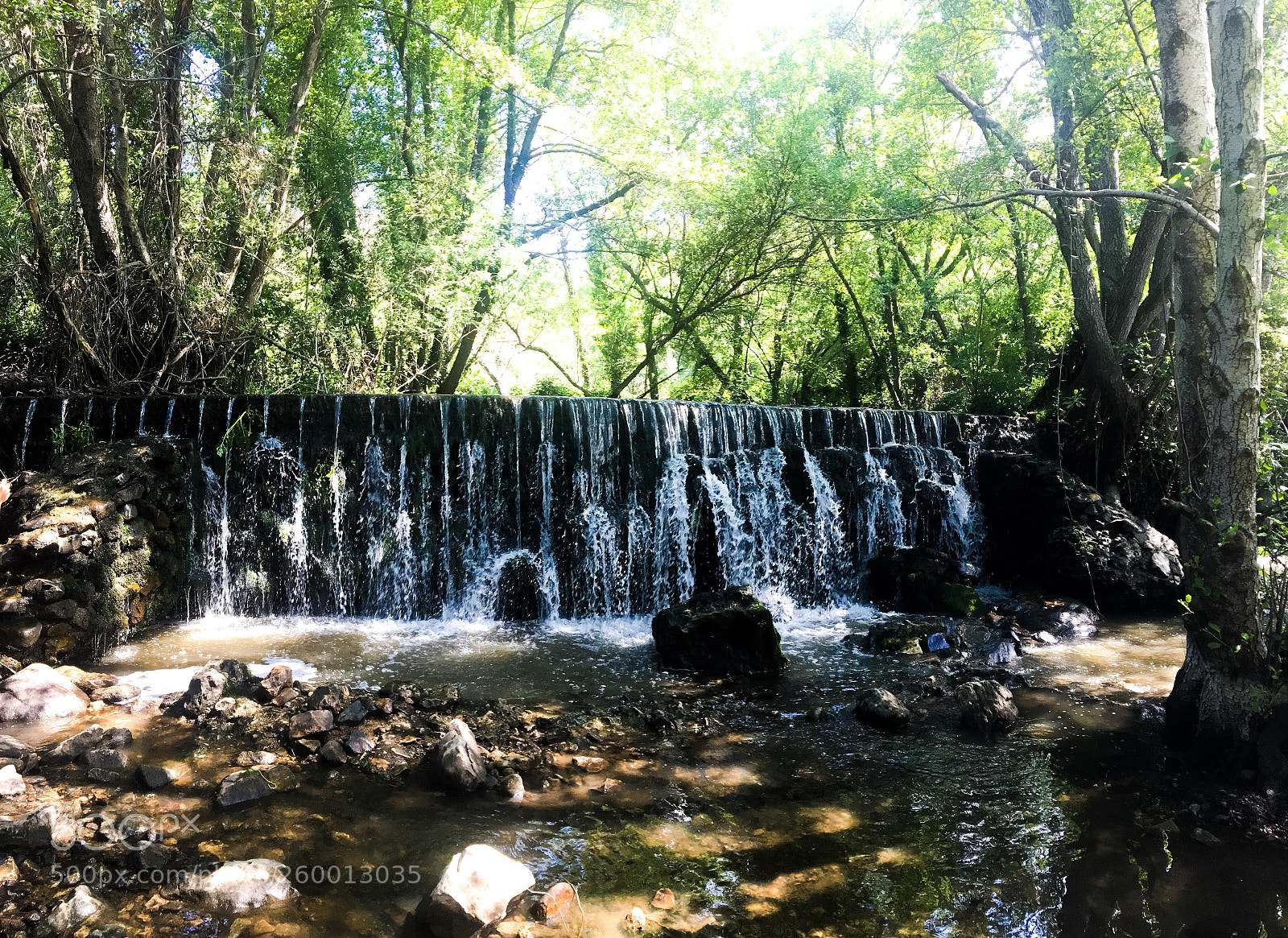 Apple iPhone 6s sample photo. Fallendes photography