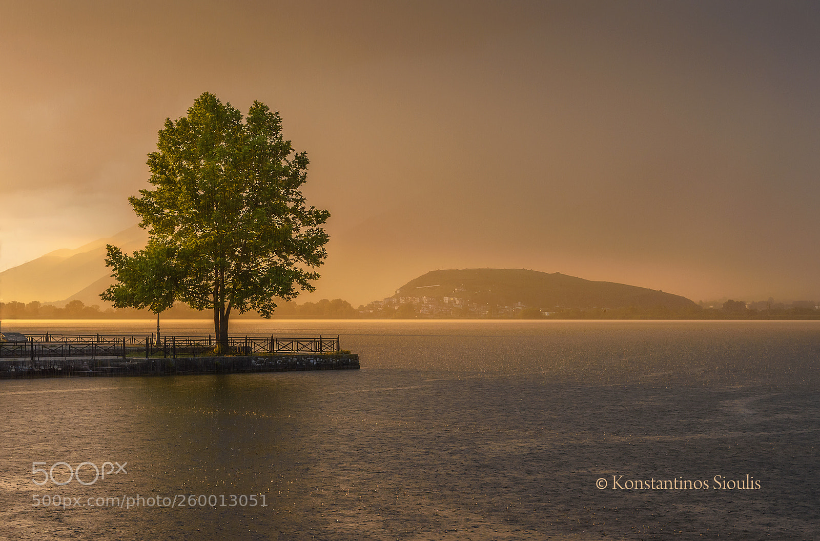 Nikon D7200 sample photo. Alone tree photography